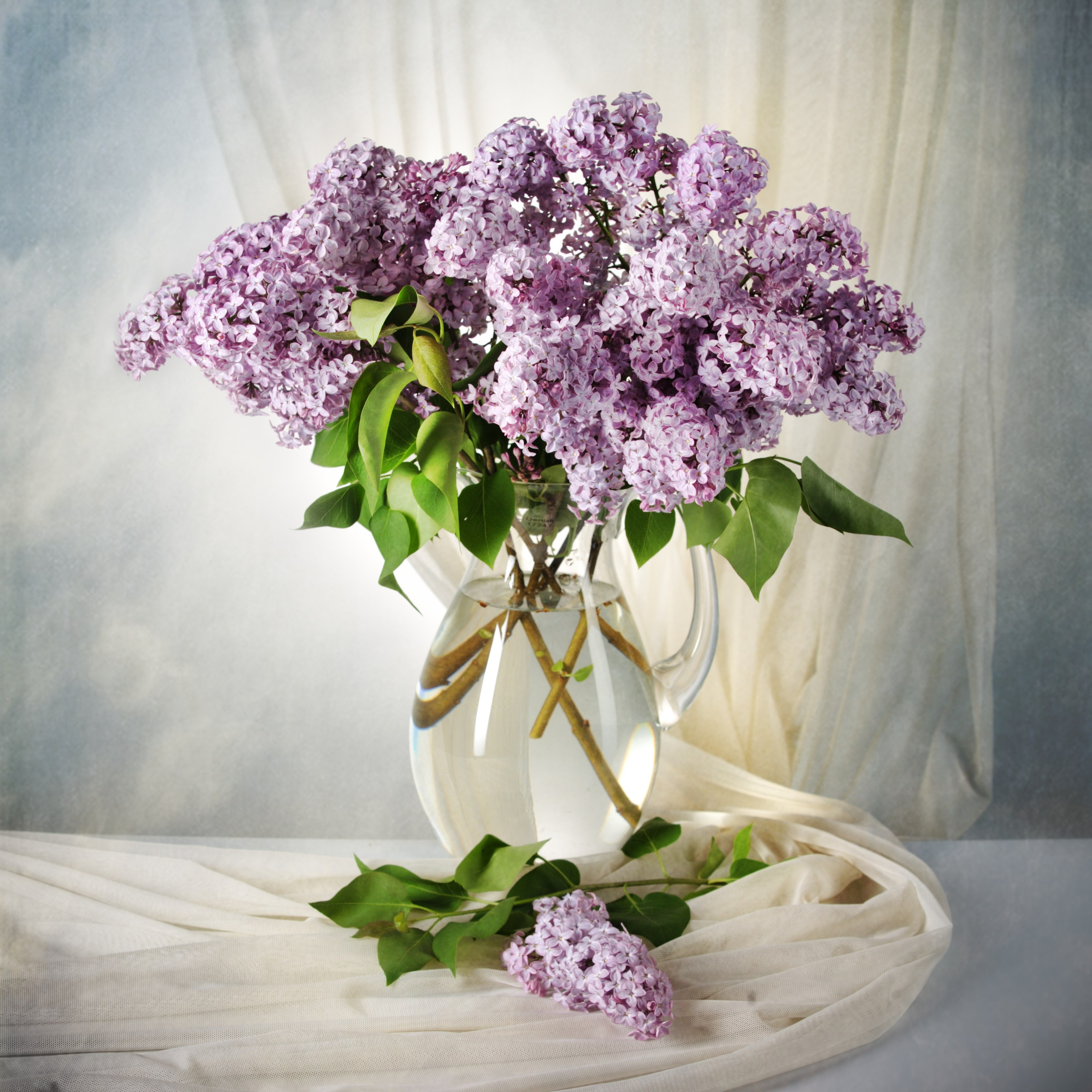 Цветы. Фотограф Мария Кольцова