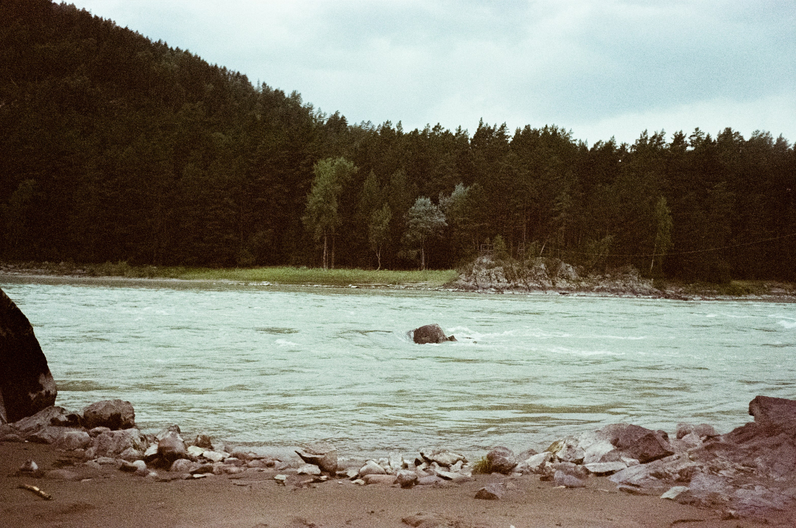 АЛТАЙ осень 2024 / Minox 35 GT (2) / Kodak Ultra Gold 400 24К (просрочка)