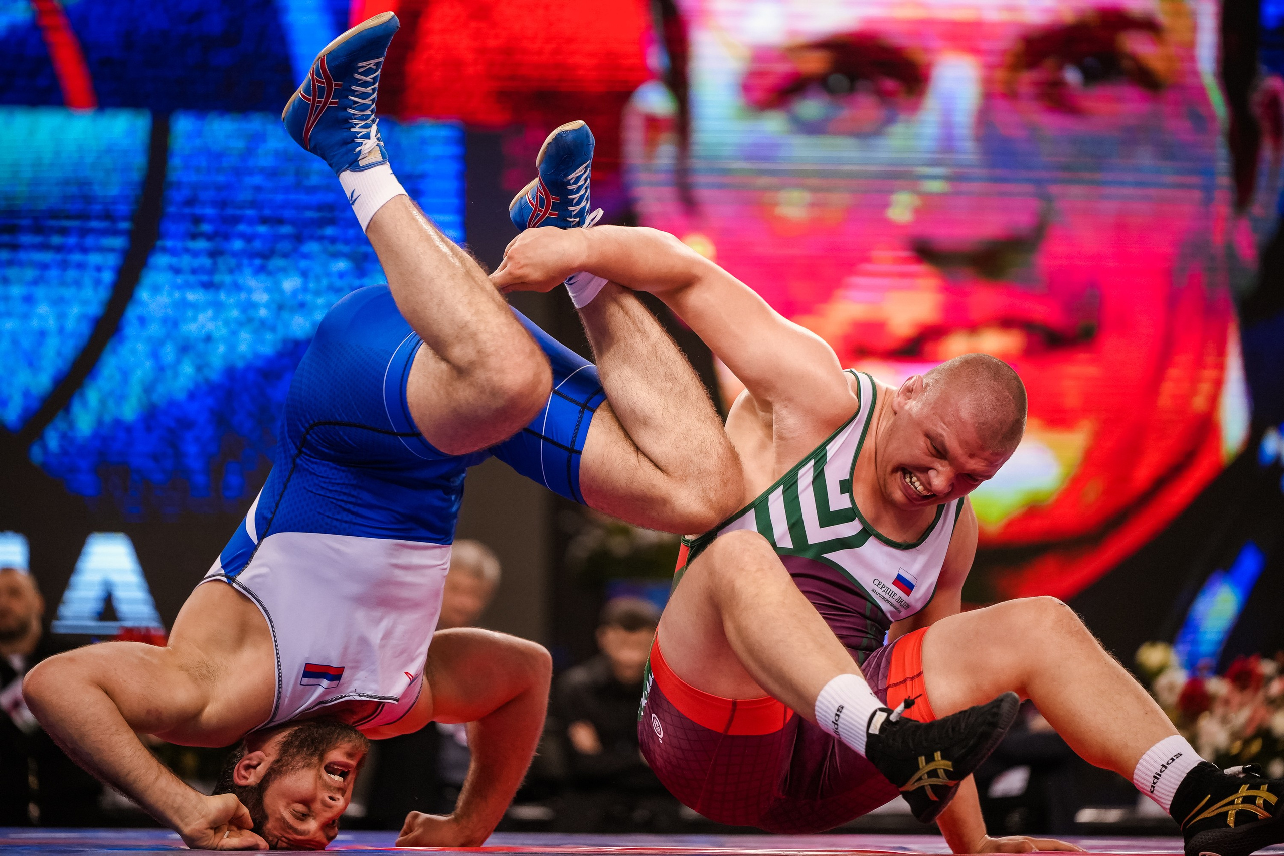 Кубок Ивана Ярыгина 2025 фотографии / ivan yarygin cup 2025 photos. Фотограф Анна Герман. Красноярск