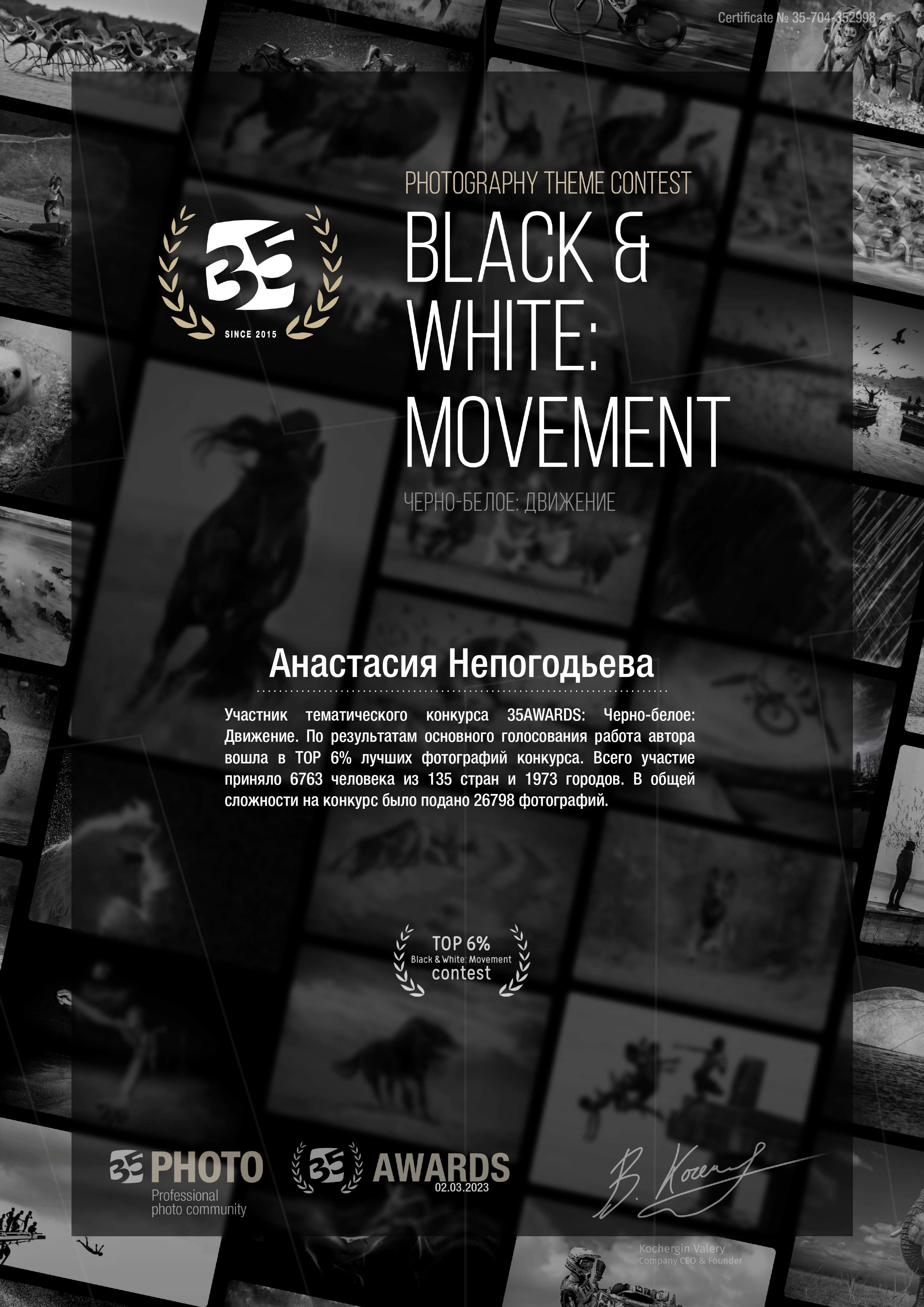 Дипломы и участия в конкурсах. Фотограф Настя Непогодьева, Москва