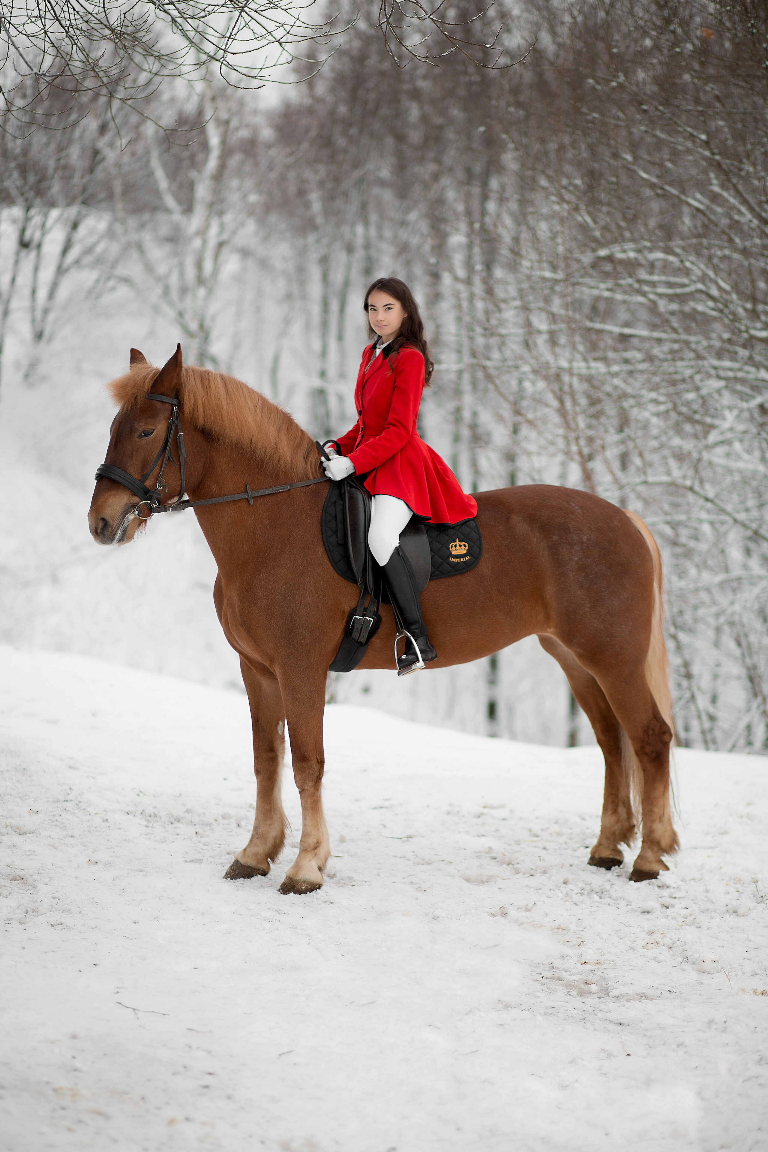 Наталья и Радуга. Фотосессия с лошадьми в Нижнем Новгороде