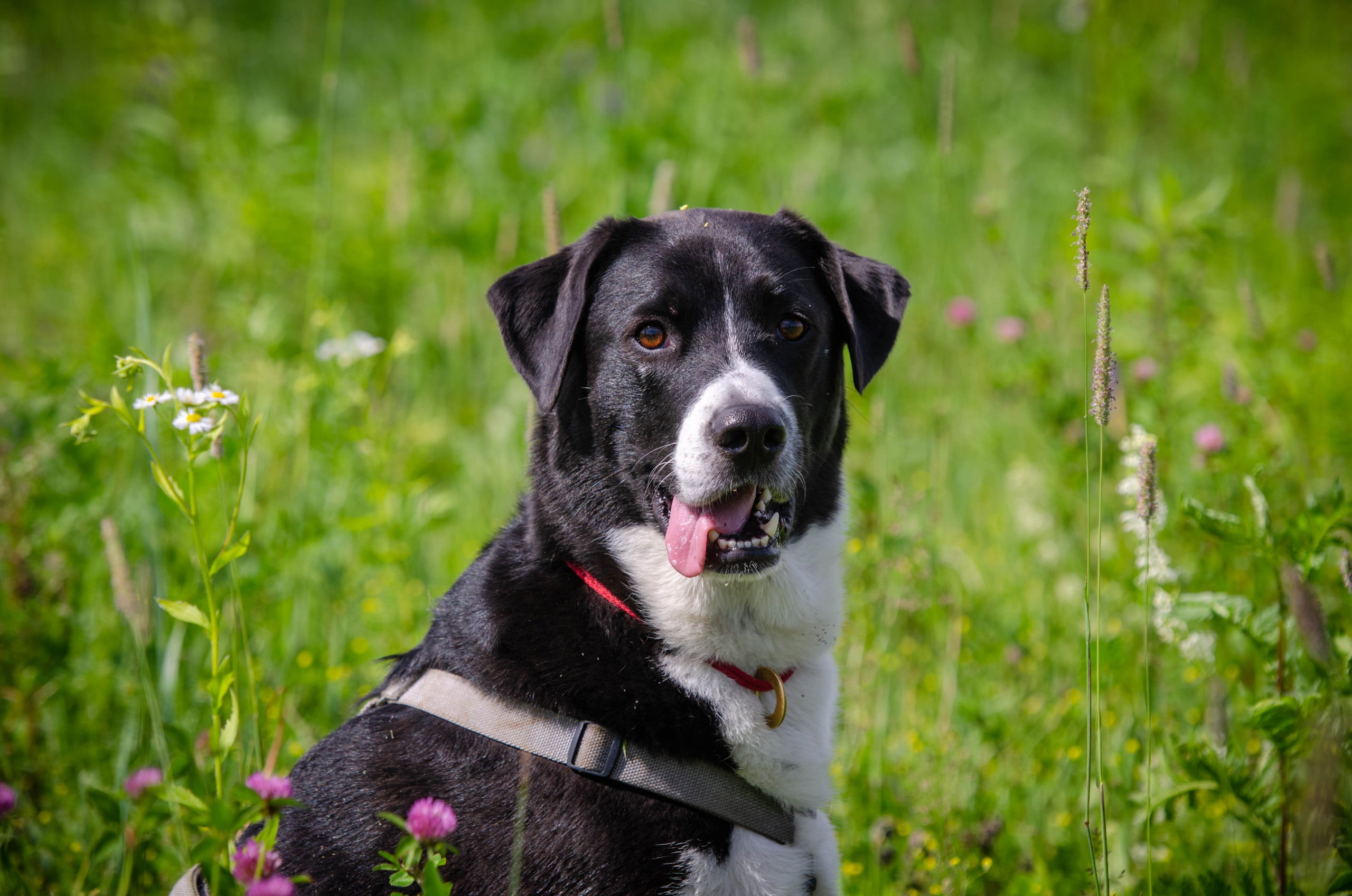 Прогулка (Лохин остров). Фотограф Светлана Блинова, Москва и Московская область