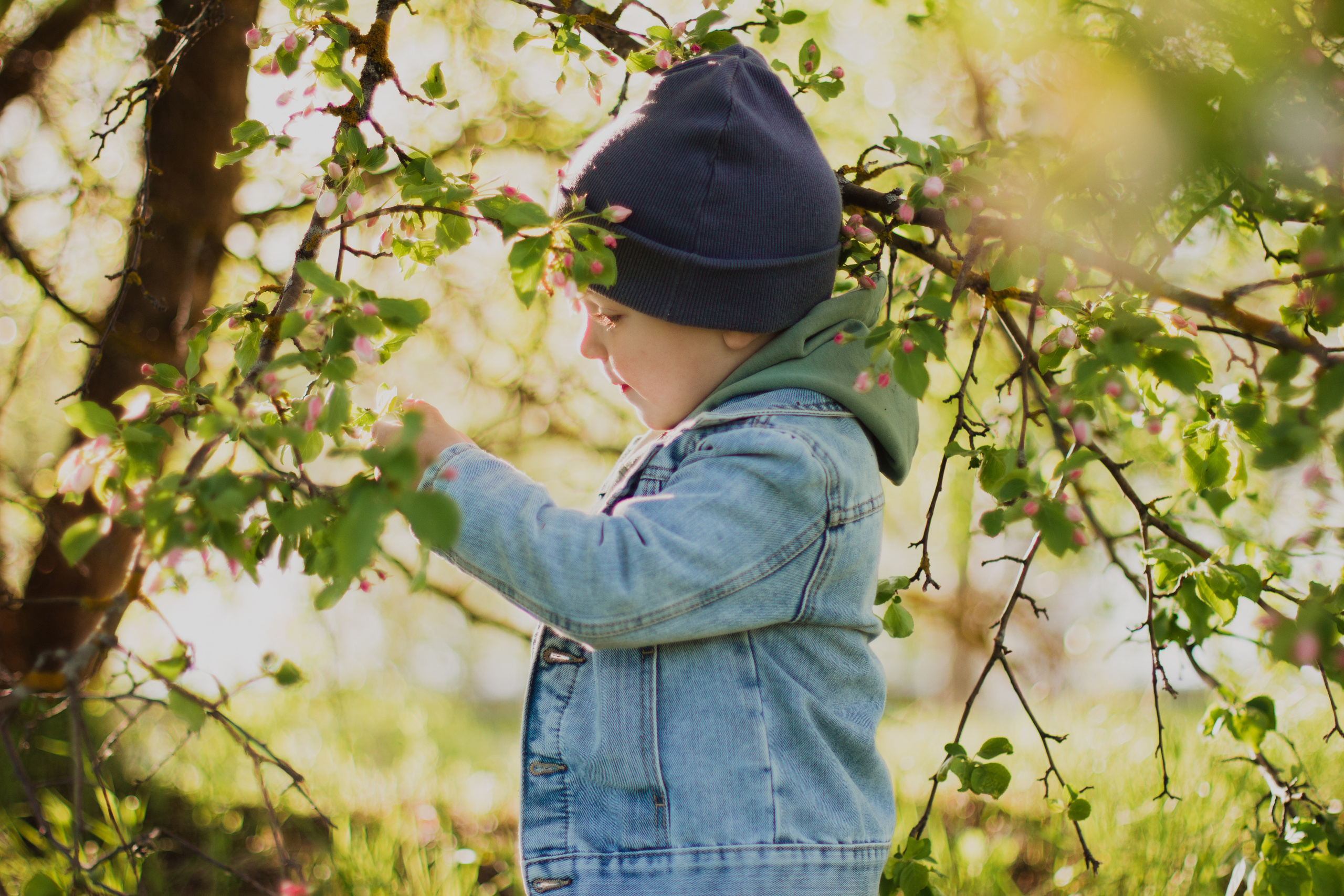 Семейная фотосессия Дубна. Фотограф Настя Полякова Дубна Талдом Кимры Москва