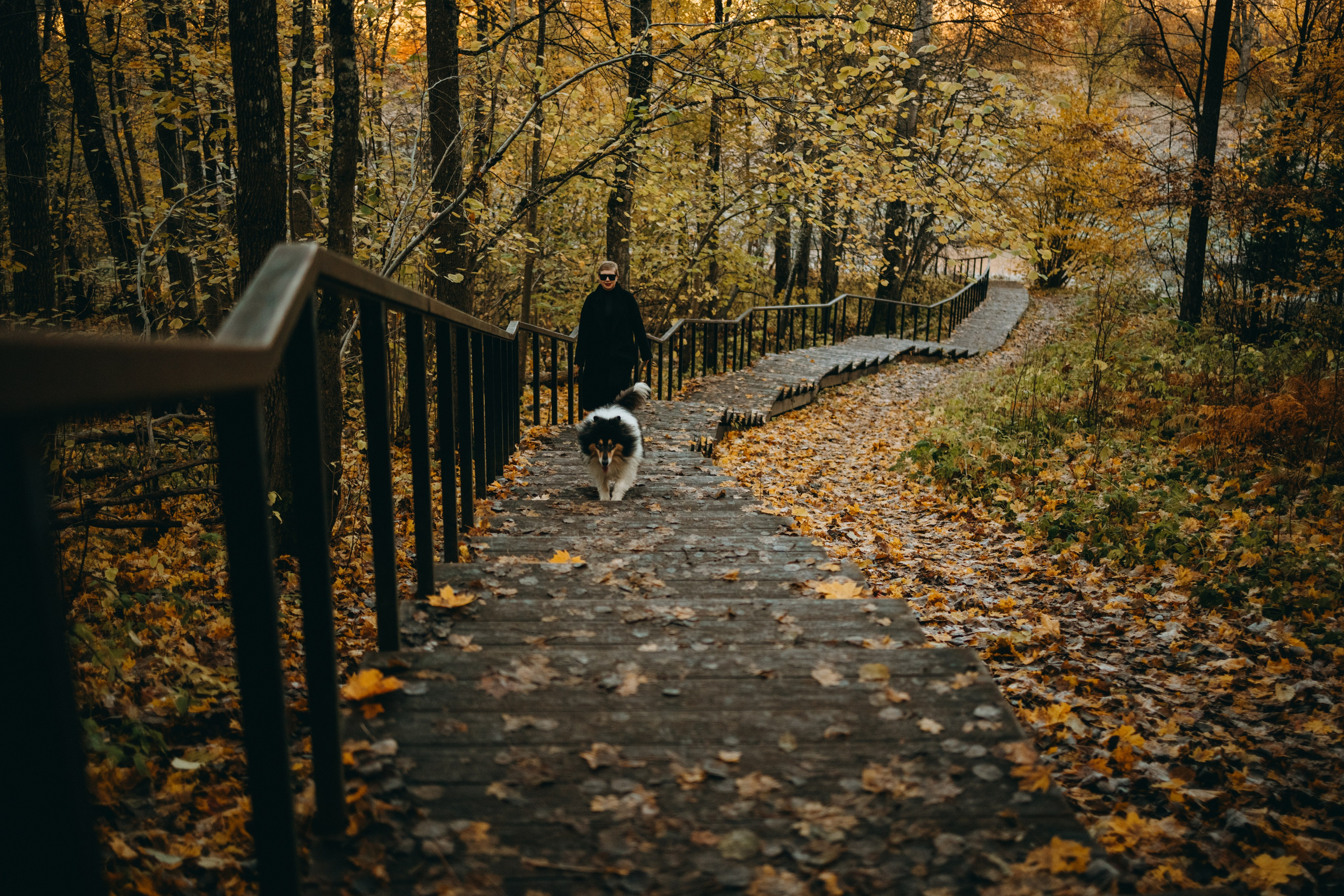 Ия и Барт. Фотограф — Анималист | Санкт-Петербург