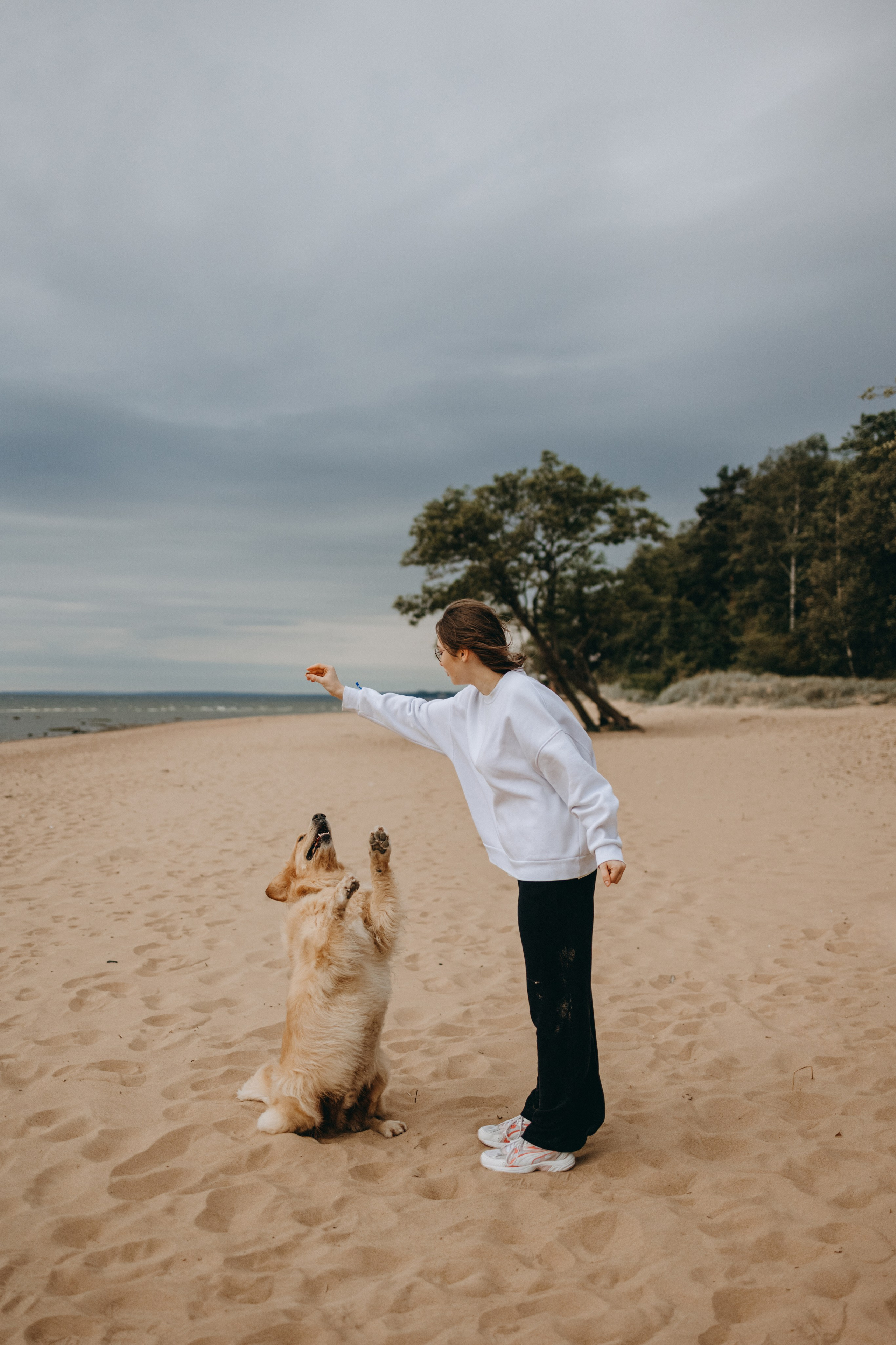 Фоси и его семьи. Фотограф — Анималист | Санкт-Петербург