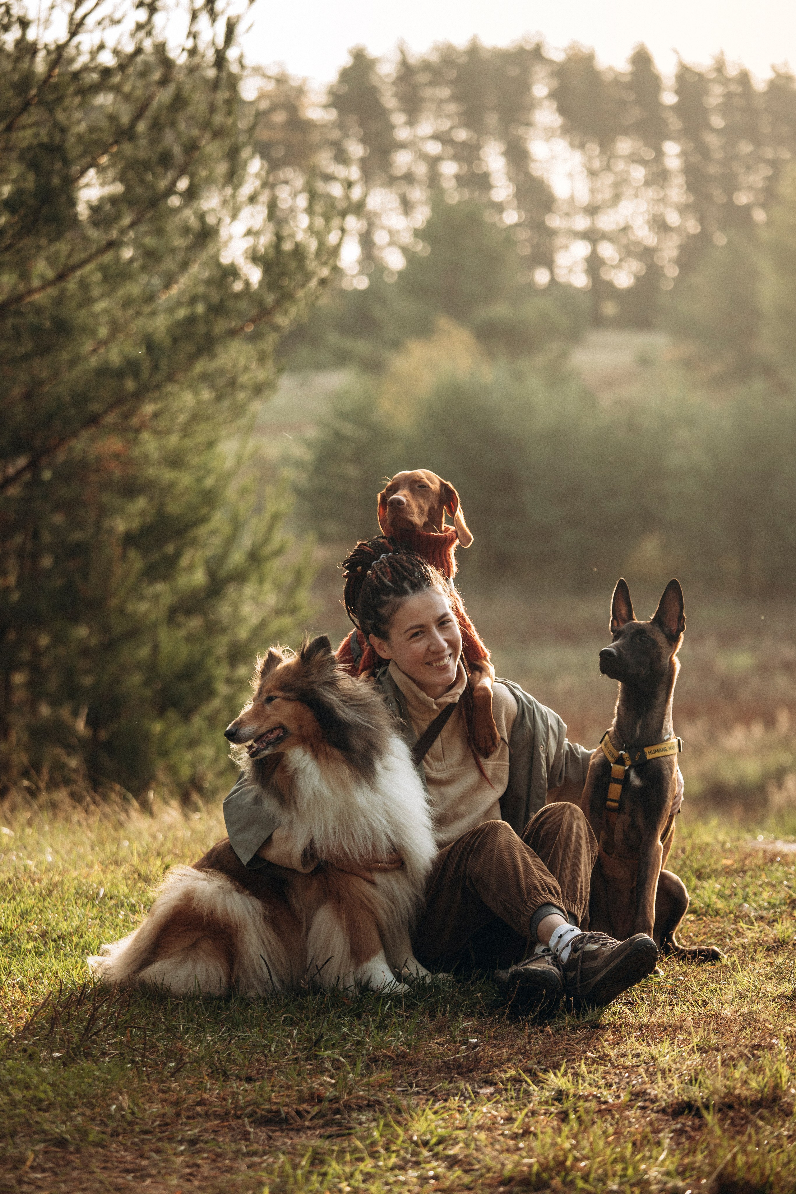 Трисс, Эста, Яся и их семья. Фотограф — Анималист | Санкт-Петербург