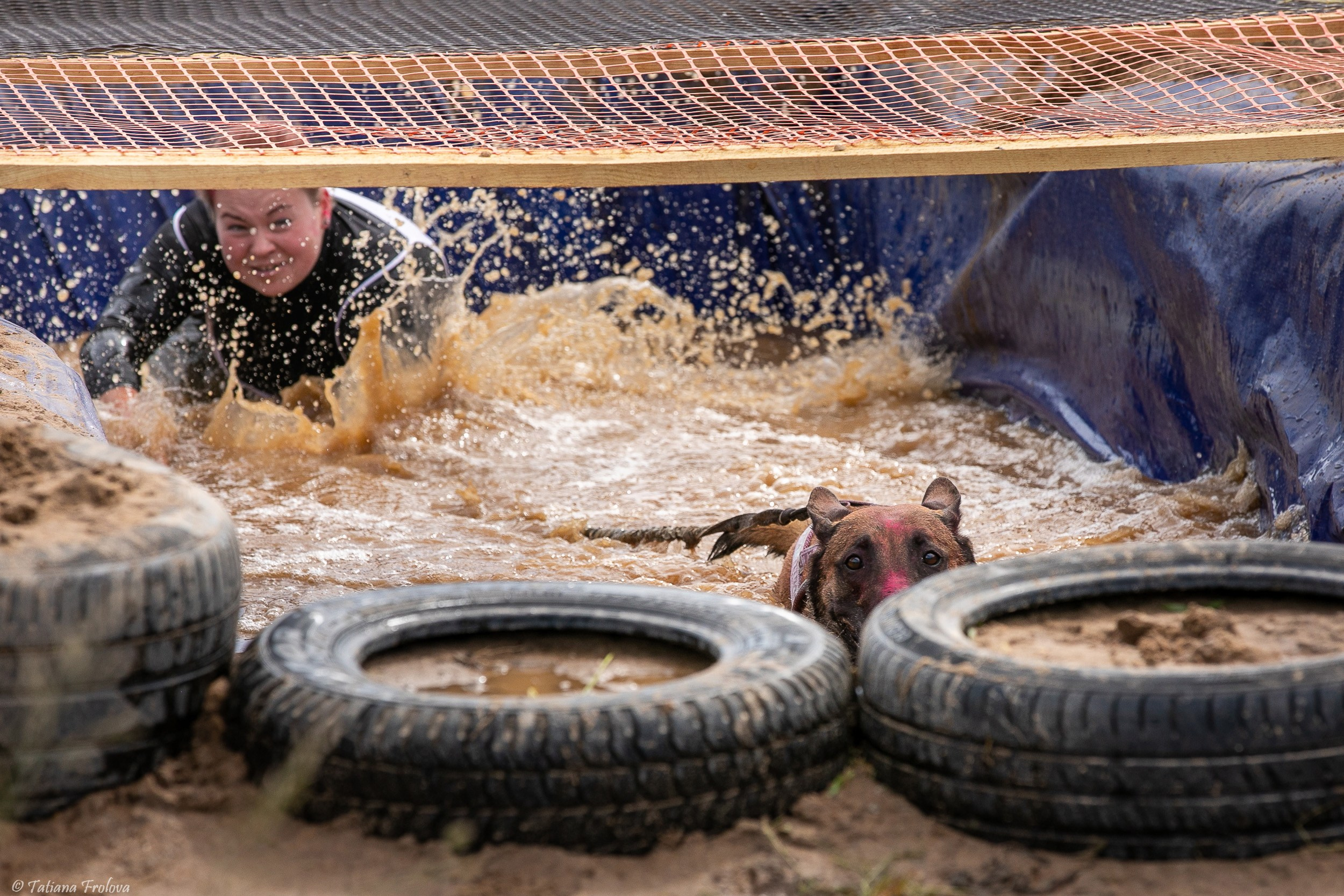Фоторепортаж с забега с собаками. Фотограф-анималист в Москве и Московской области Татьяна Фролова