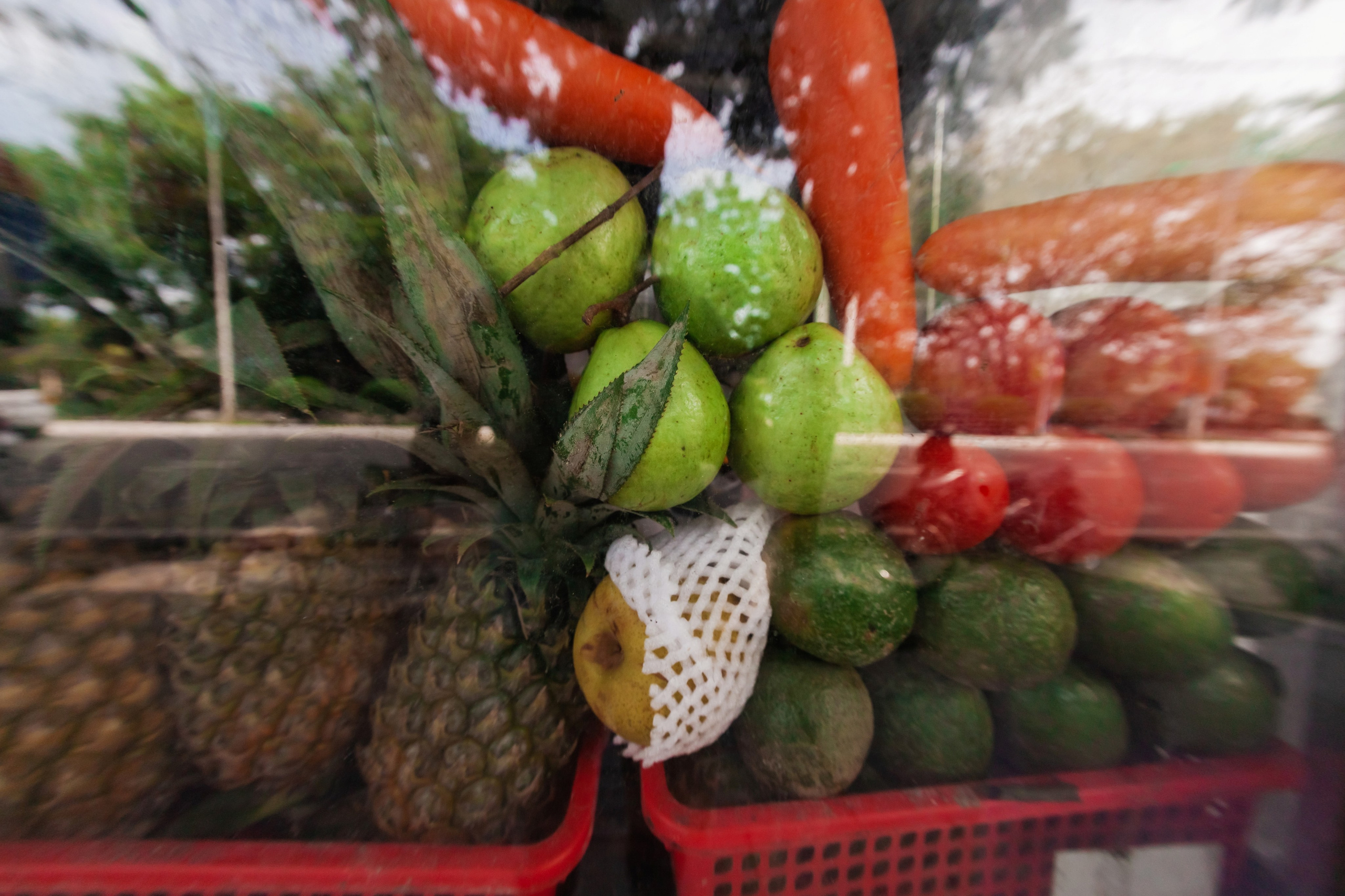 ВЬЕТНАМ 2023 / VIEtTNAM 2024. Главная