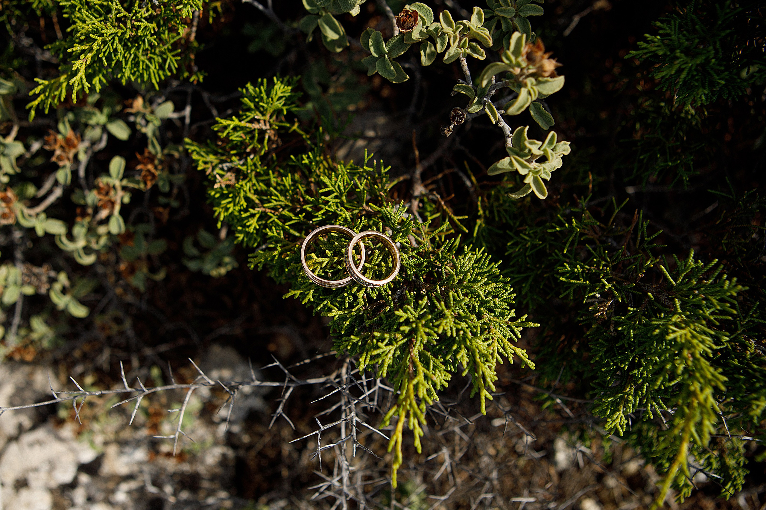 V&A. Фотограф в Батуми Павел Шарников
