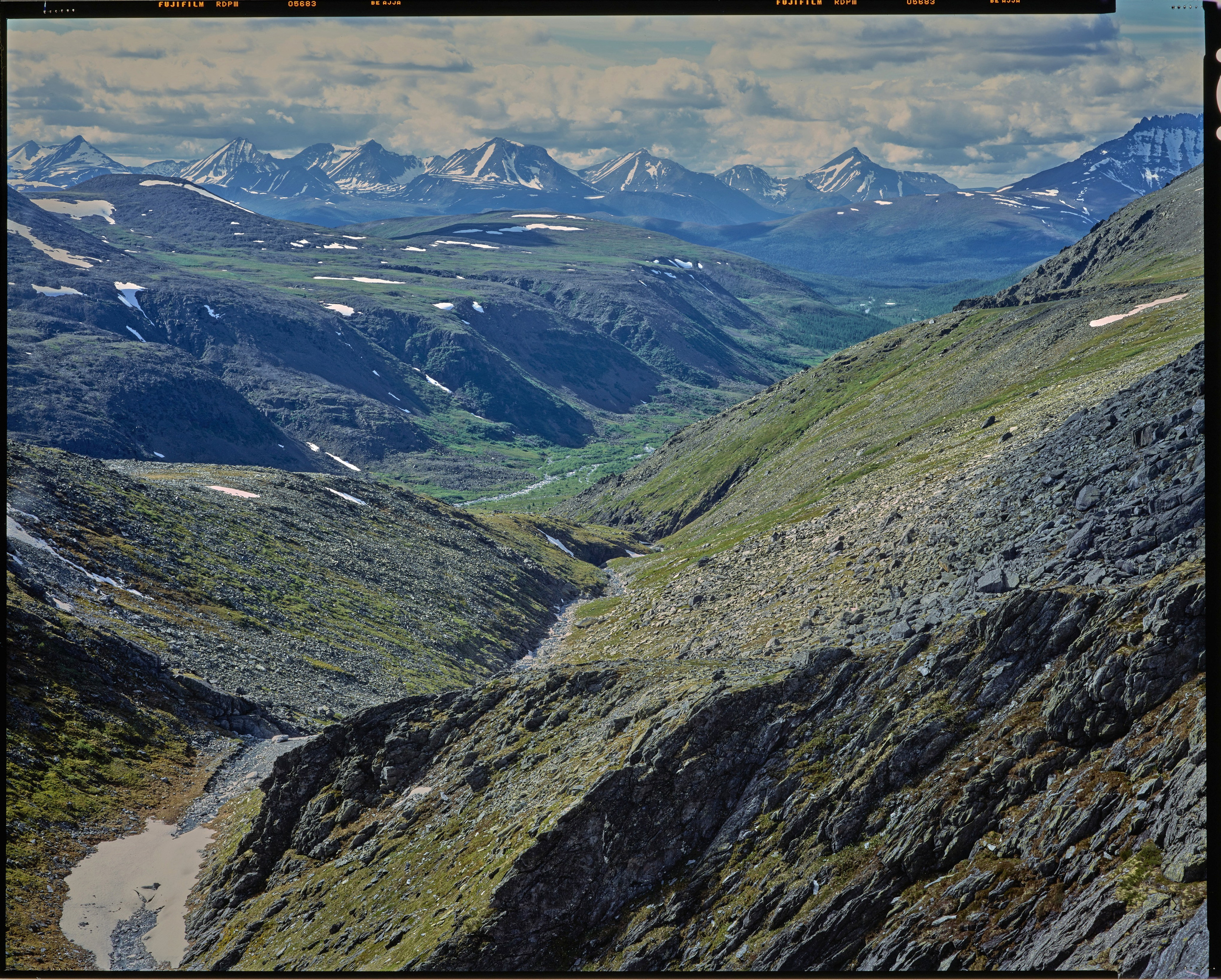 Полевая фотосъёмка форматными камерами. Multica. Мастерская камер большого формата