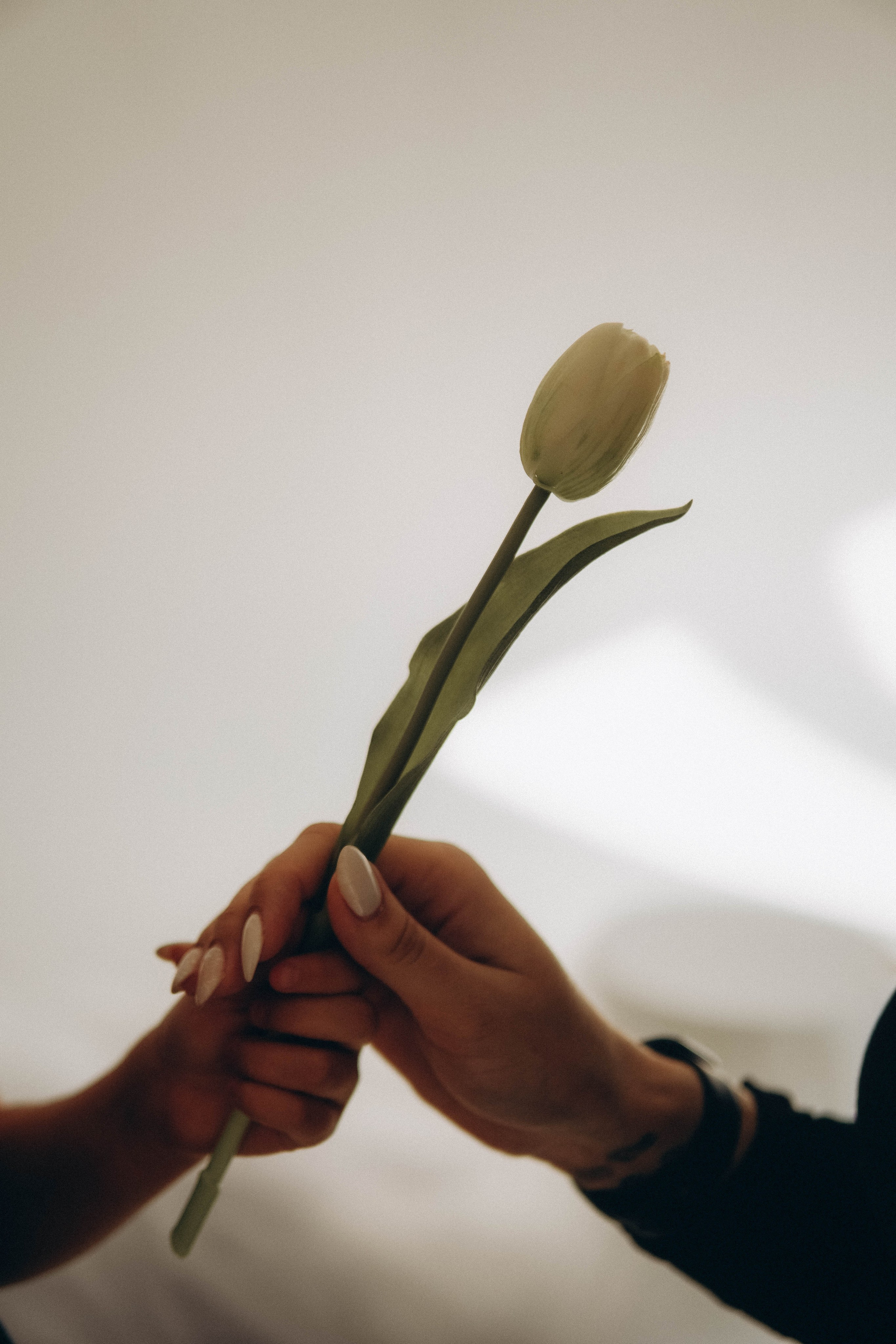 Семейная история. Сибирский фотограф Братск, Иркутск Анна Галанина