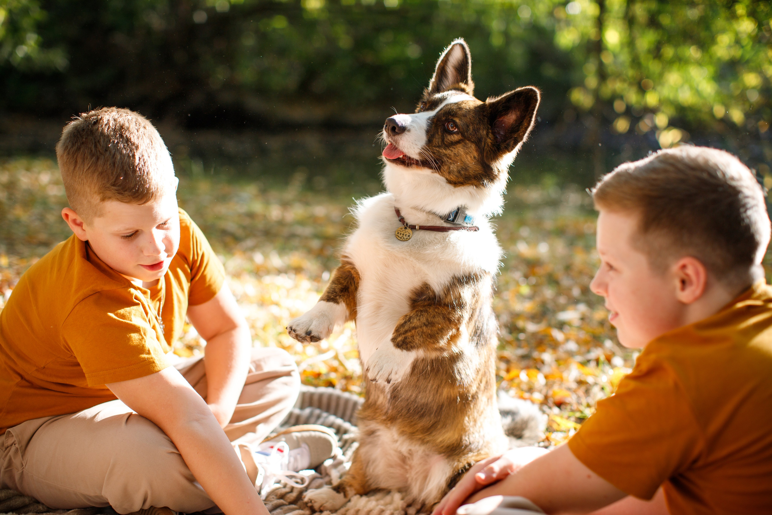 На пикнике. Детский и семейный фотограф Мария Киселёва. Москва