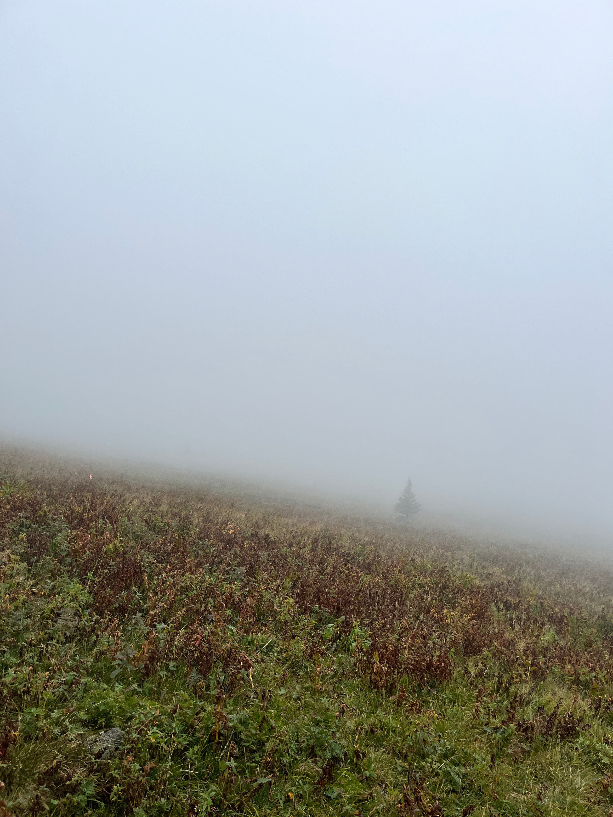 Фот с походов на Иремель — Время приключений