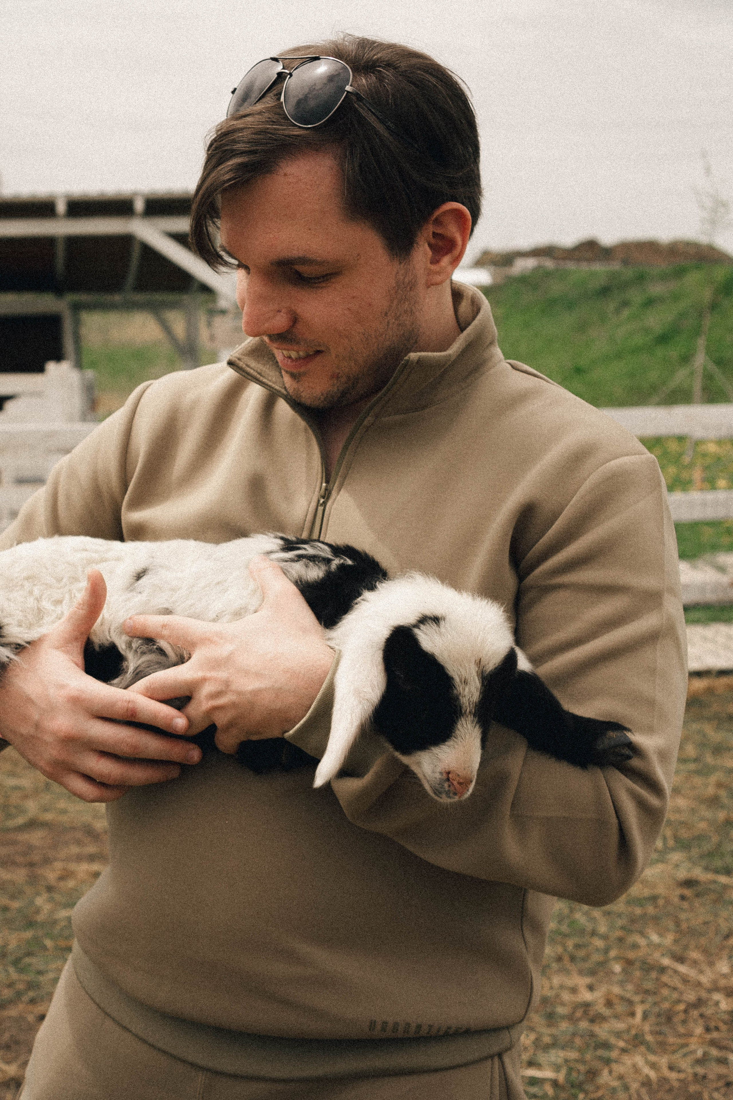 Ферма Альпак. Профессиональный фотограф, Санкт-Петербург — Виктория Богомолова