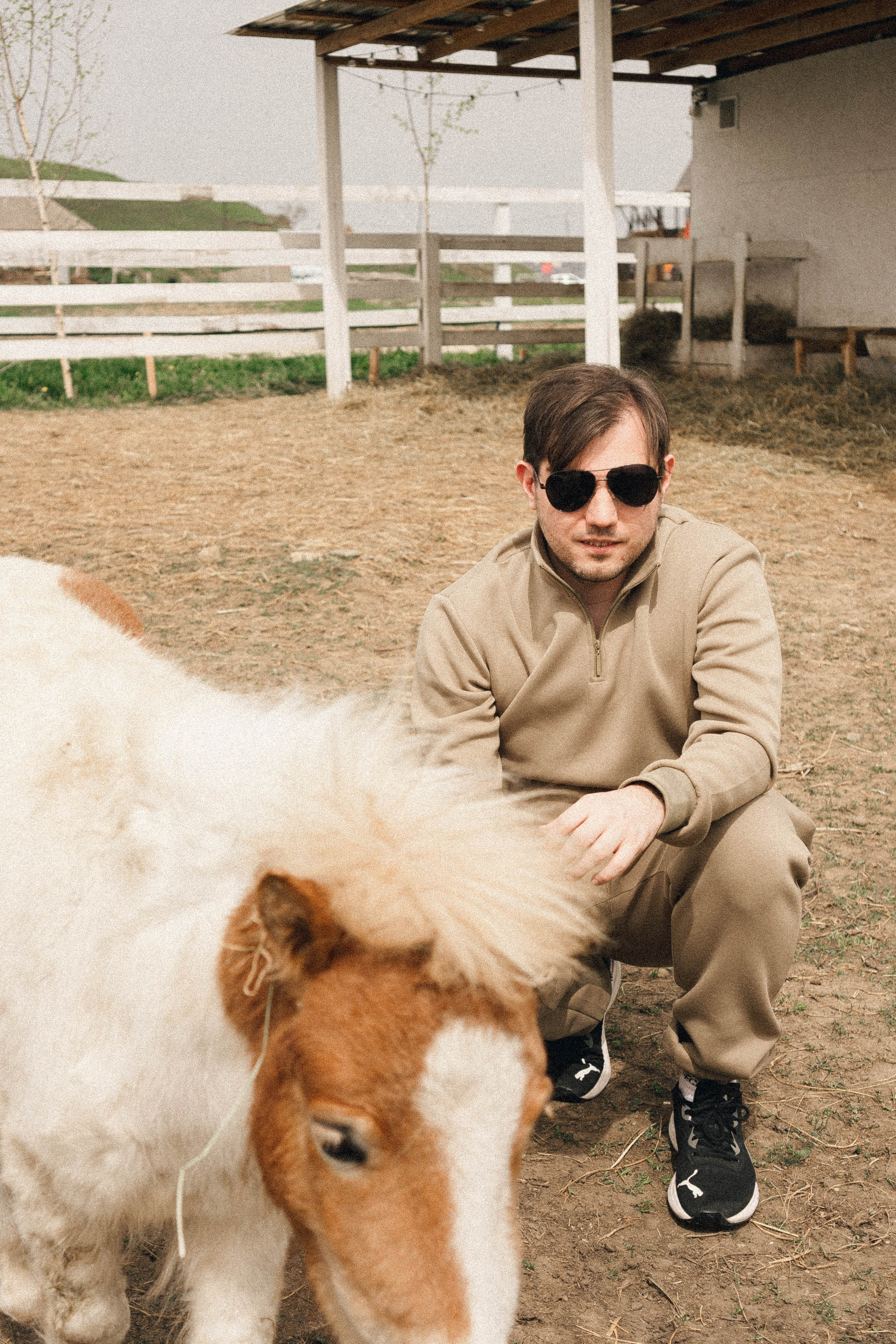 Ферма Альпак. Профессиональный фотограф, Санкт-Петербург — Виктория Богомолова