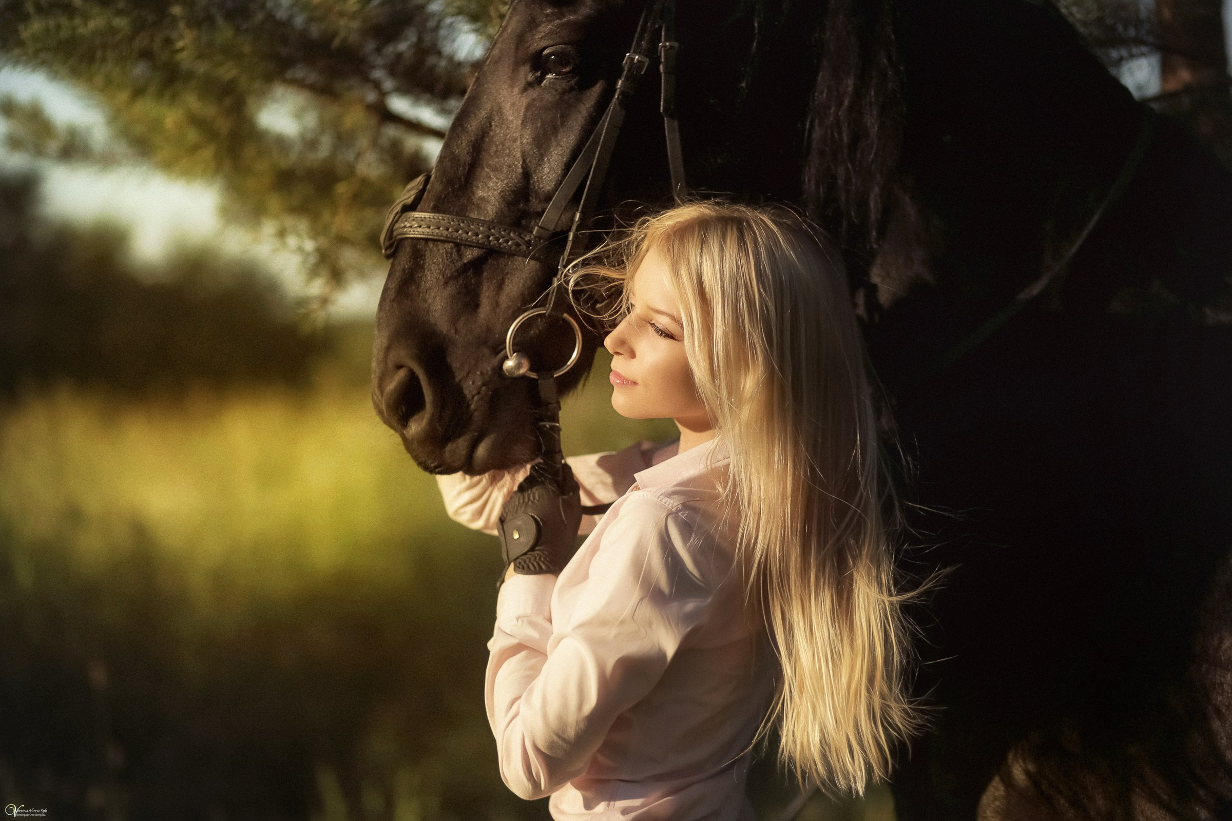 Девушка обнимает своего коня, девушка обнимает вороного коня