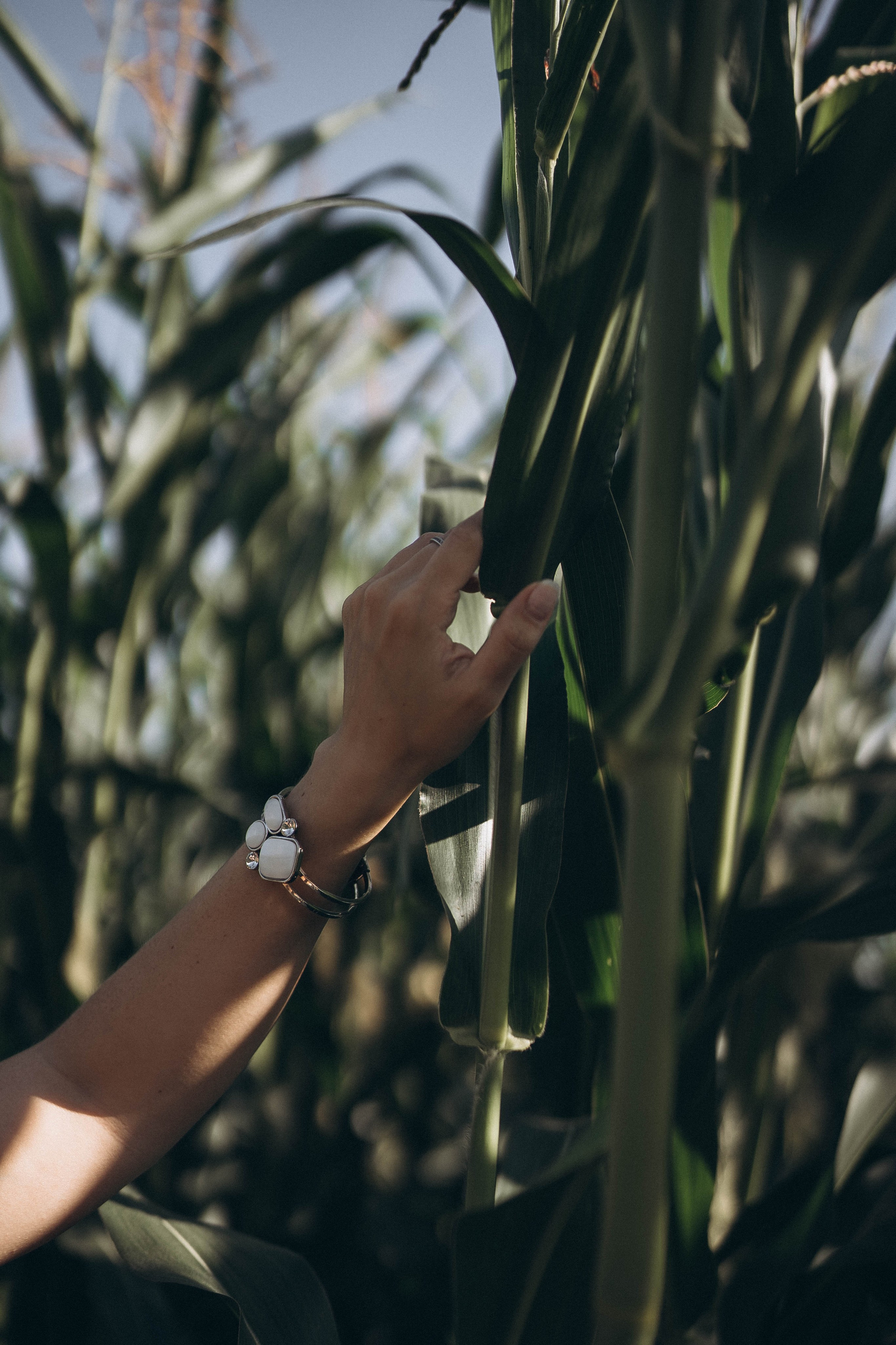 Анастасия. Свадебный и семейный фотограф в Перми Дарья Алекс