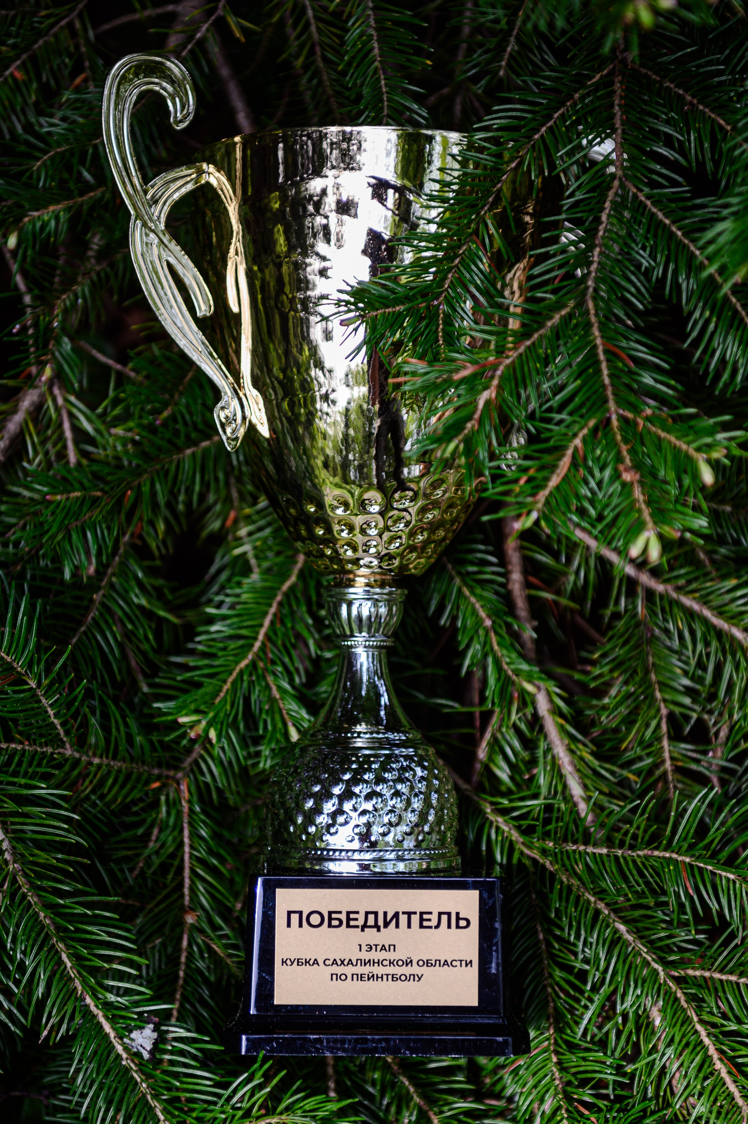 РЕПОРТАЖ. Фотограф СОТНИК ВЛАДИМИР