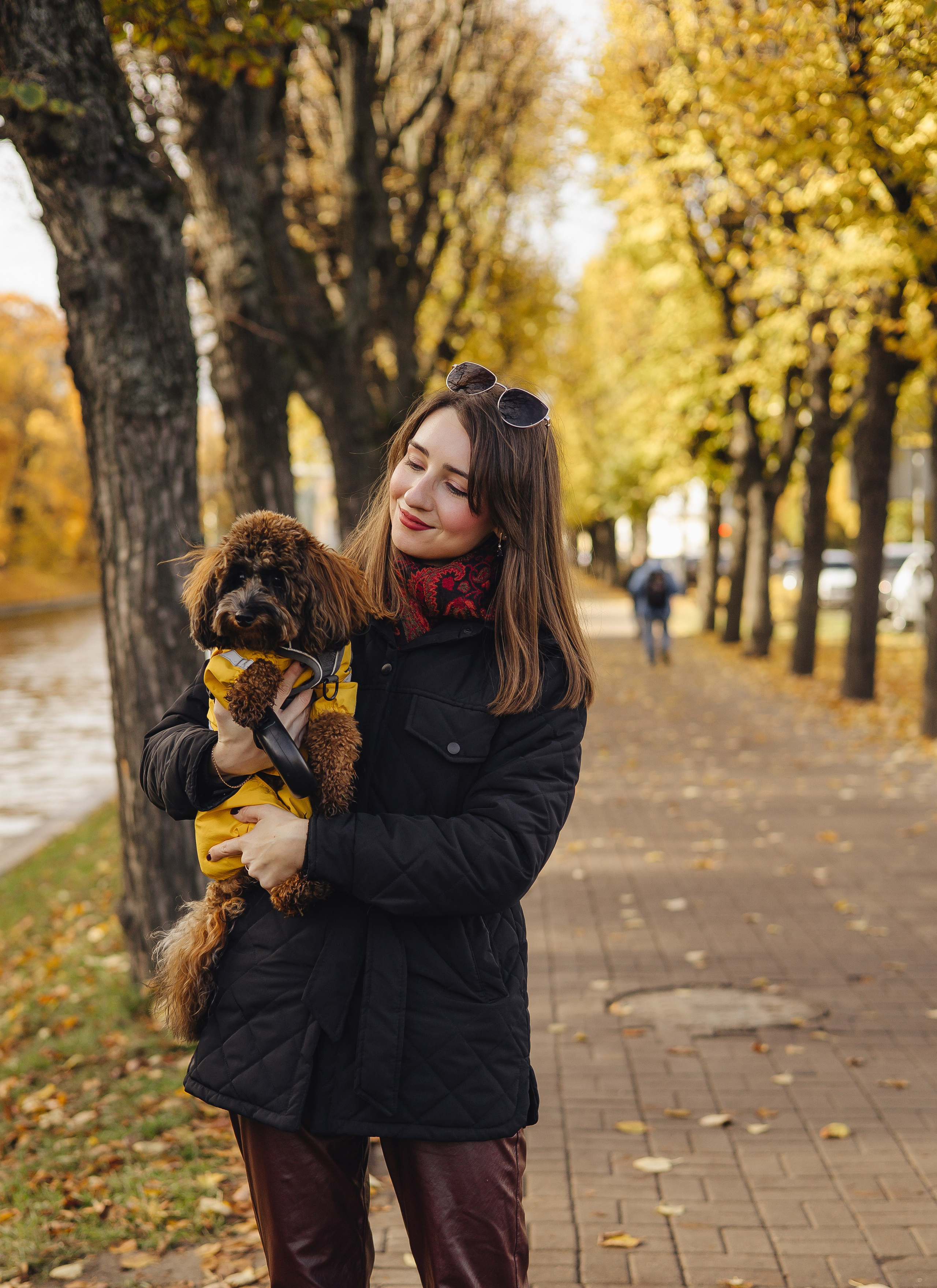 Летающая Мерси