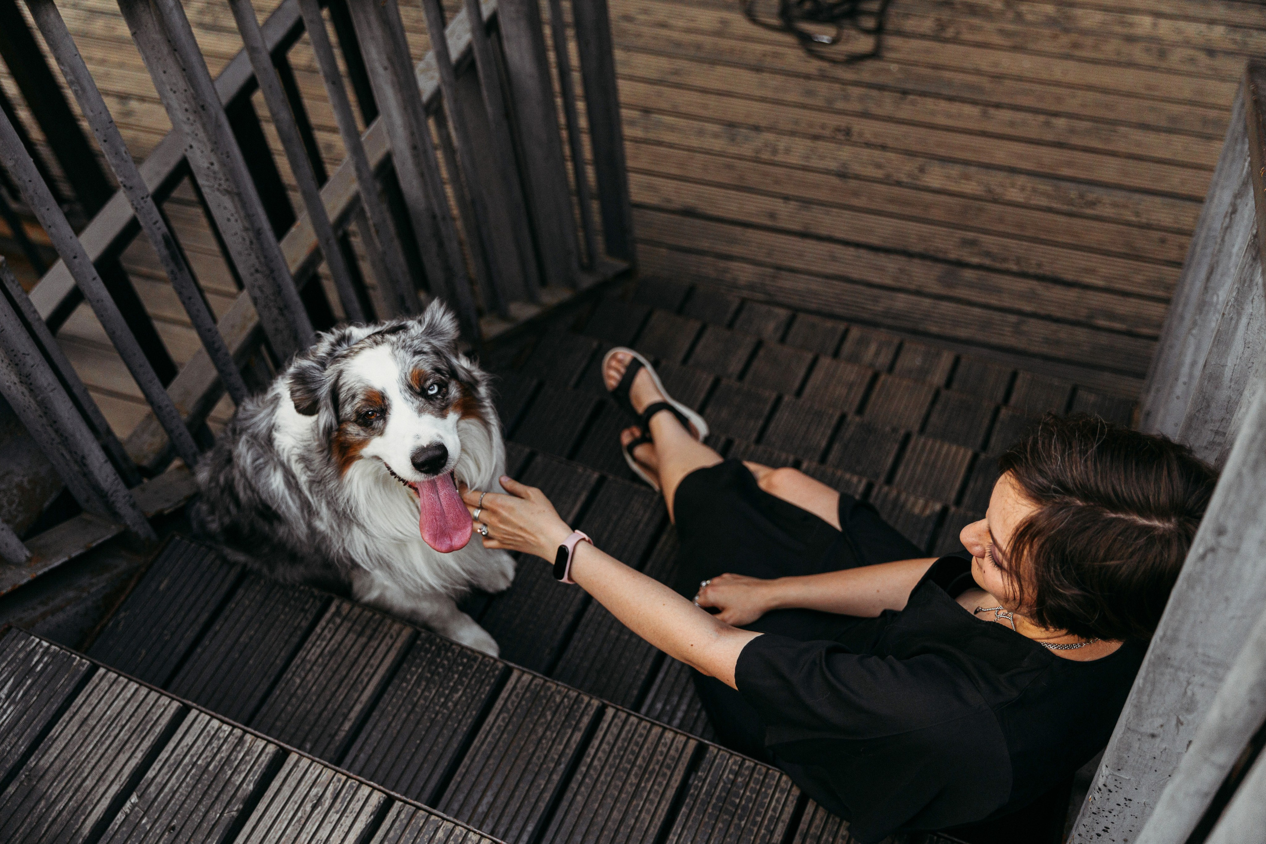 Лена и Принц. Фотограф-анималист в Москве Соломонова Варвара