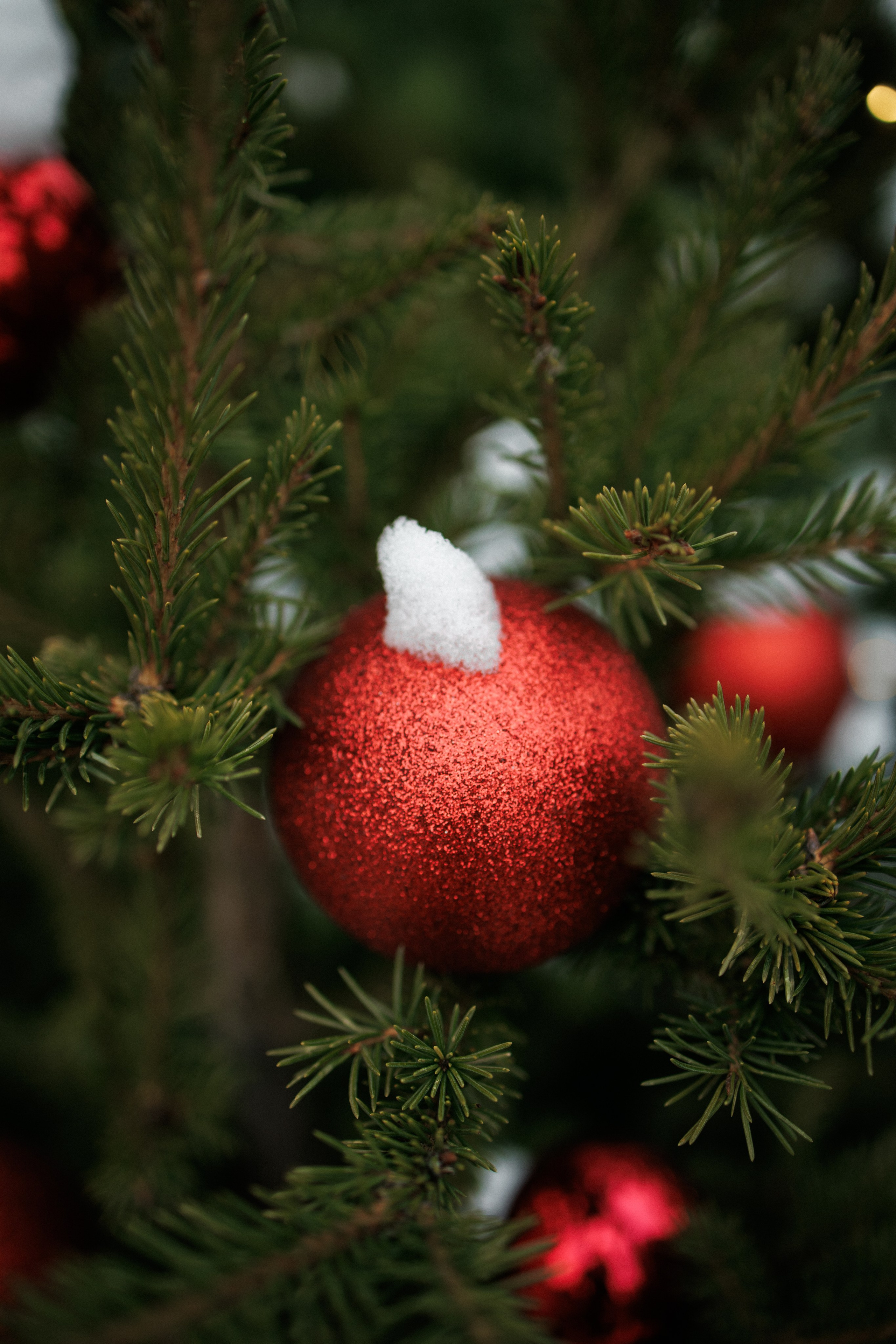 Зимняя фотопрогулка. Семейный фотограф г. Тюмень