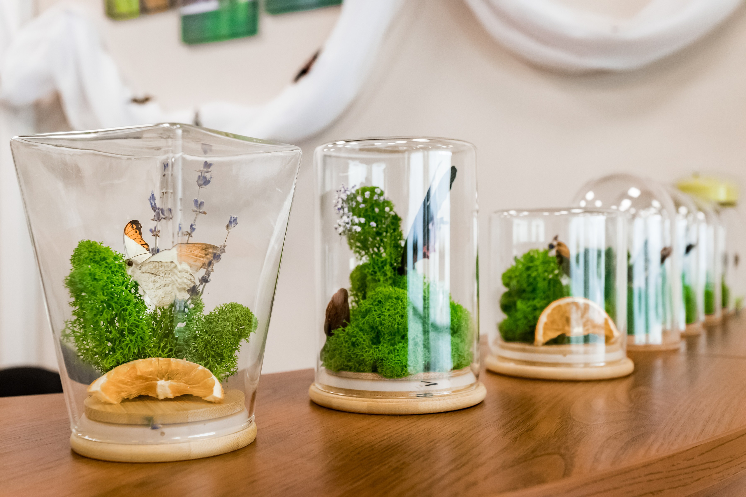 Фотосъемка коммерческих помещений для сайта, карт, соц.сетей. Интерьеры, Контент, Портреты | Фотограф в Москве Дани Терно