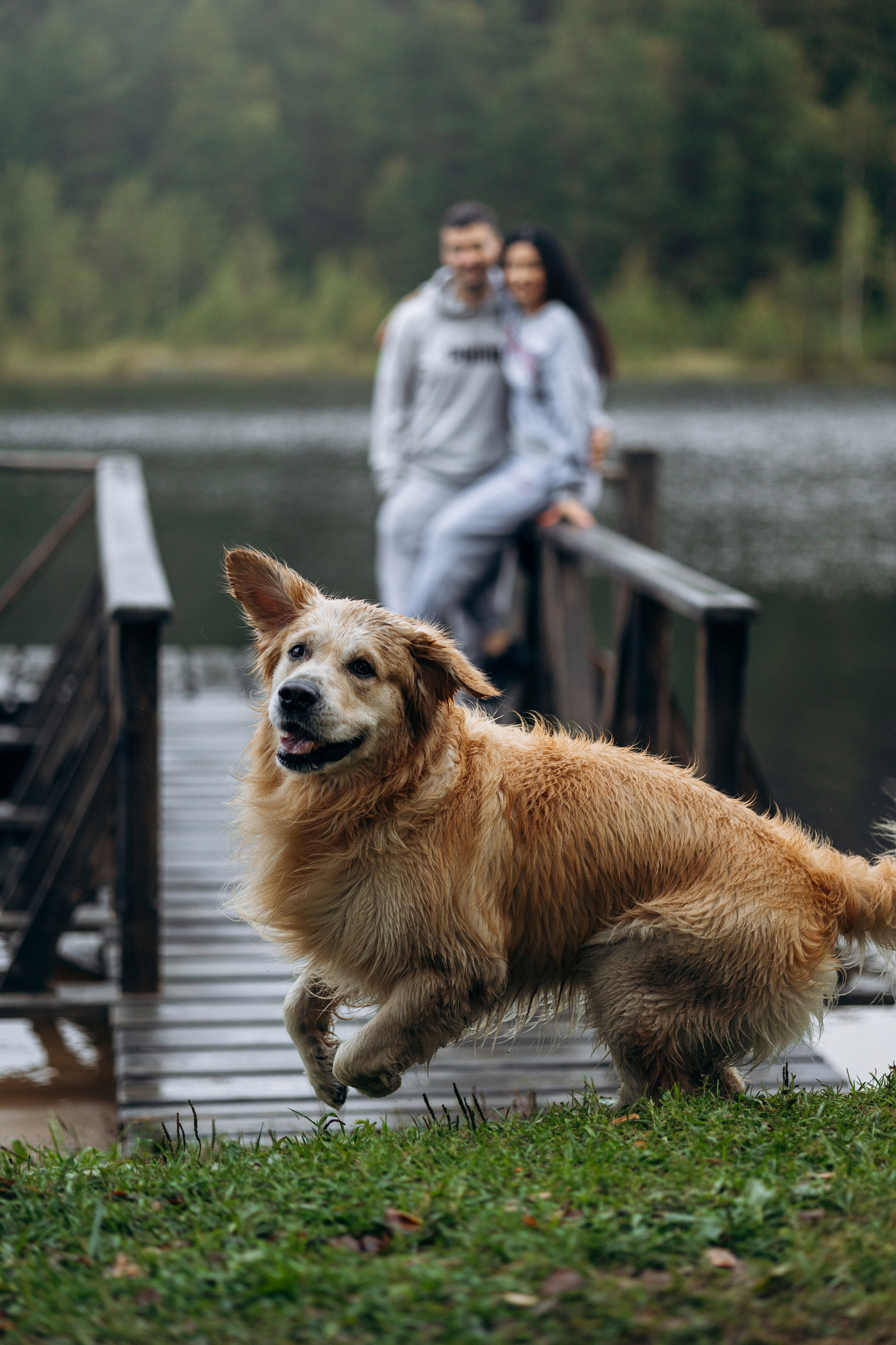Лёва и его семья. Фотограф — Анималист | Санкт-Петербург