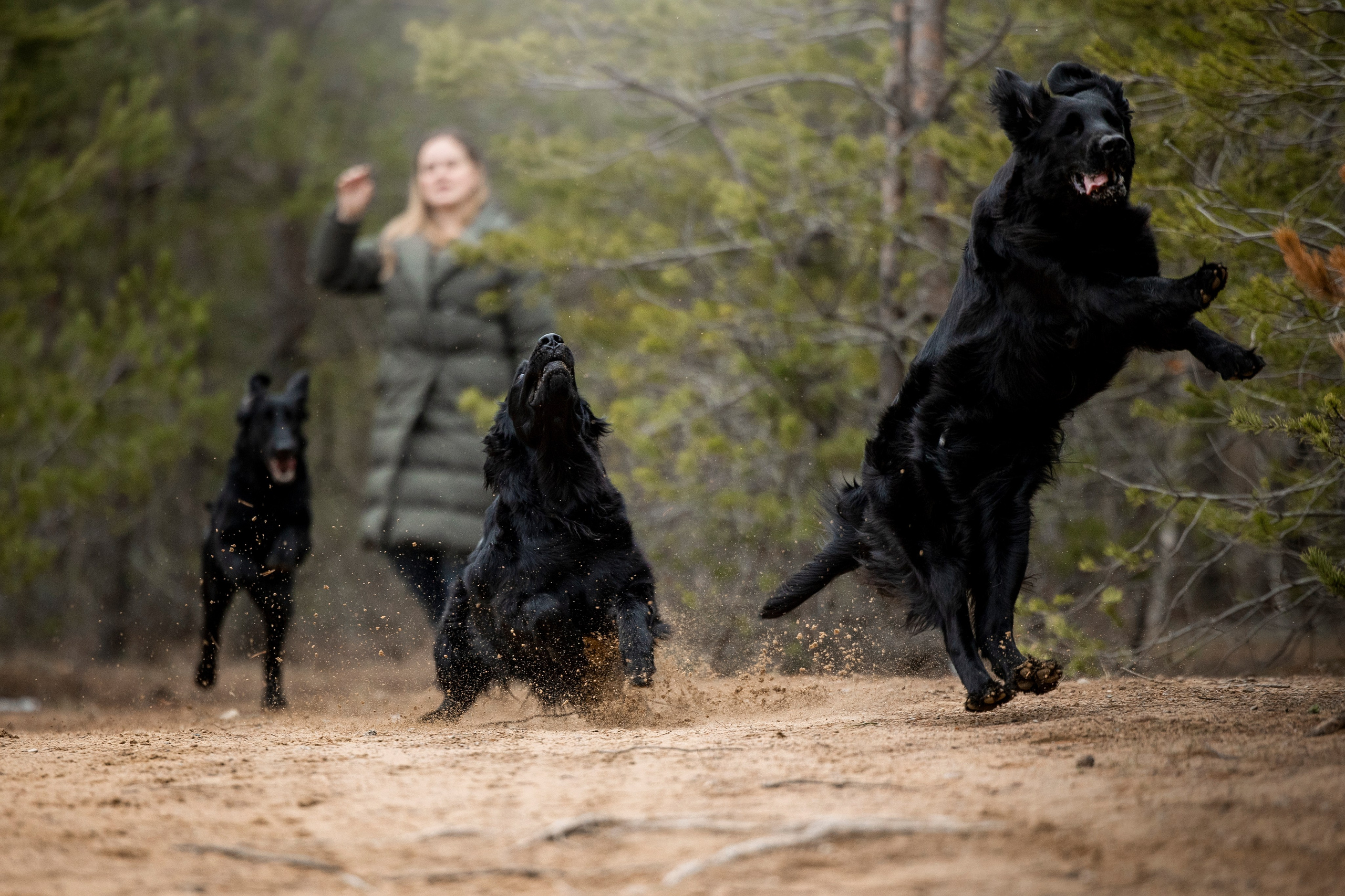Ора, Ева, Рози и их семья. Фотограф — Анималист | Санкт-Петербург