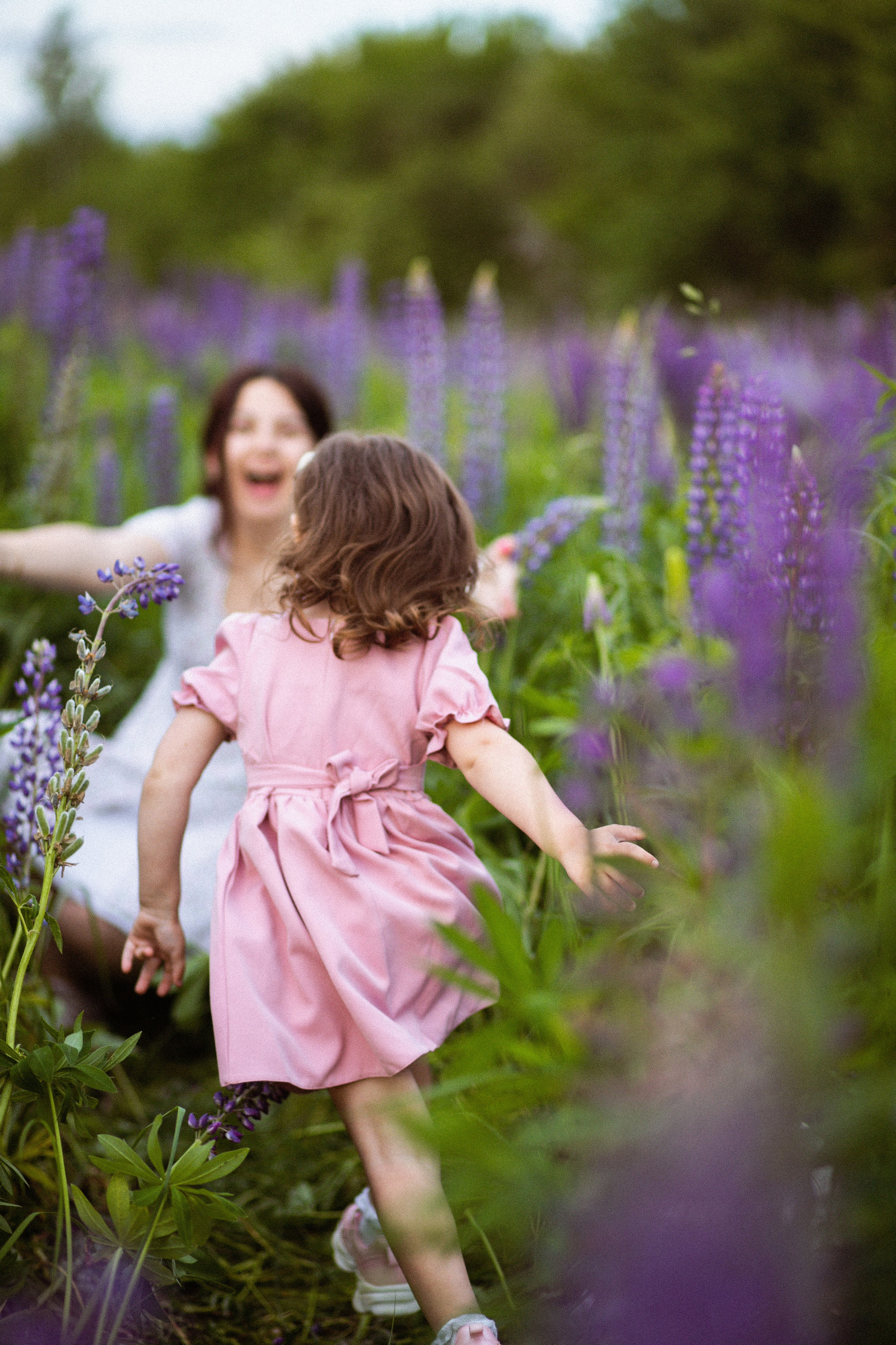 Июньские люпины. Фотограф в Москве/Санкт-Петербурге