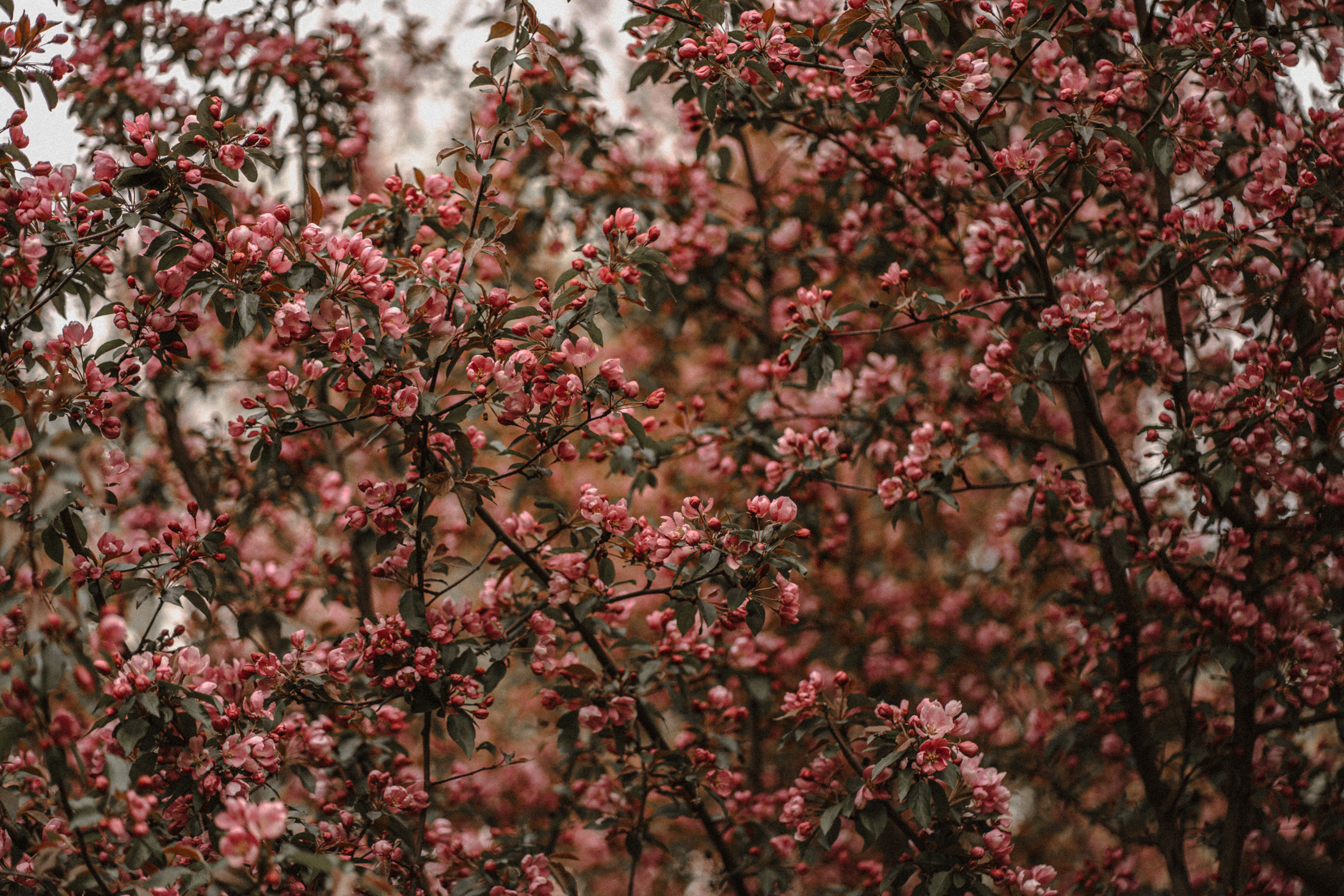 Фотограф Наталья Колганова