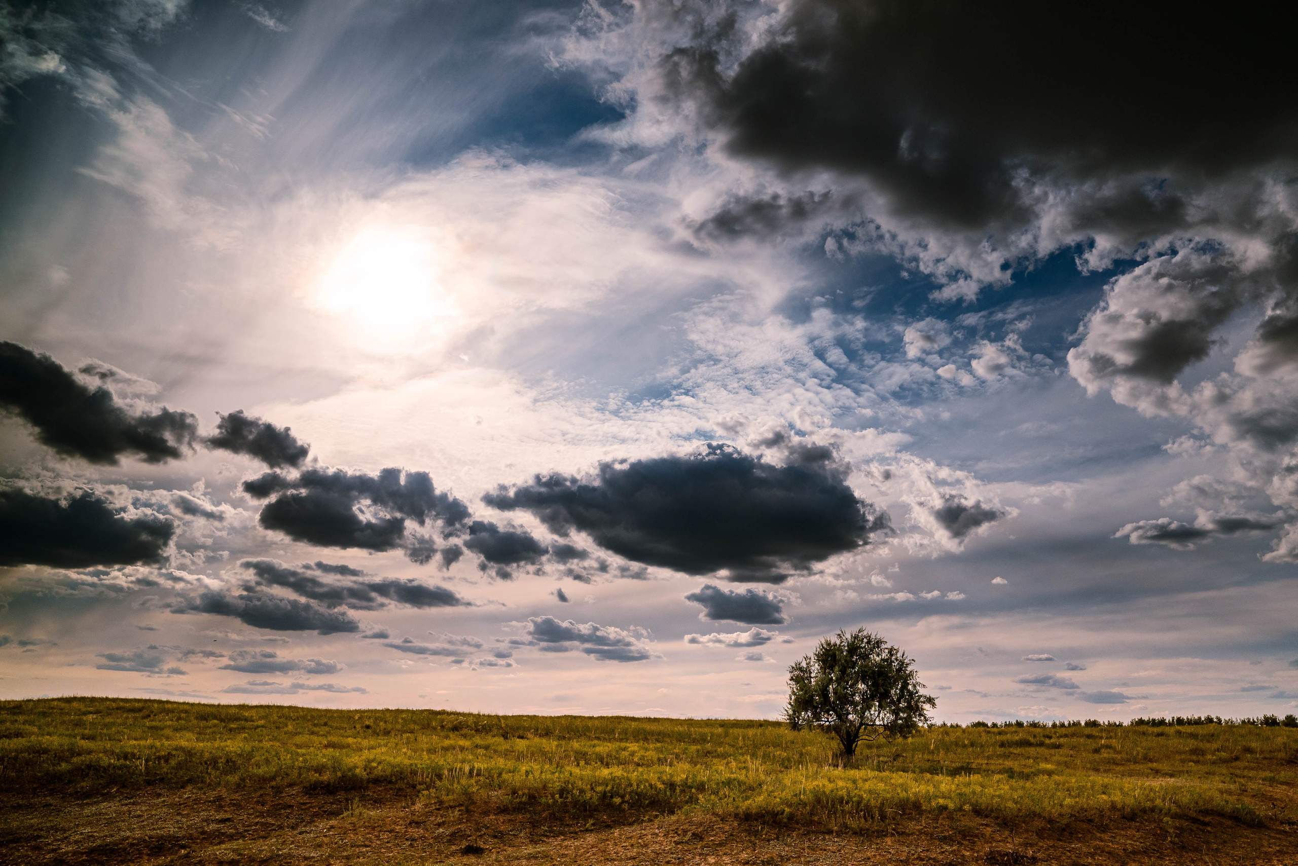 дерево, облака, зко