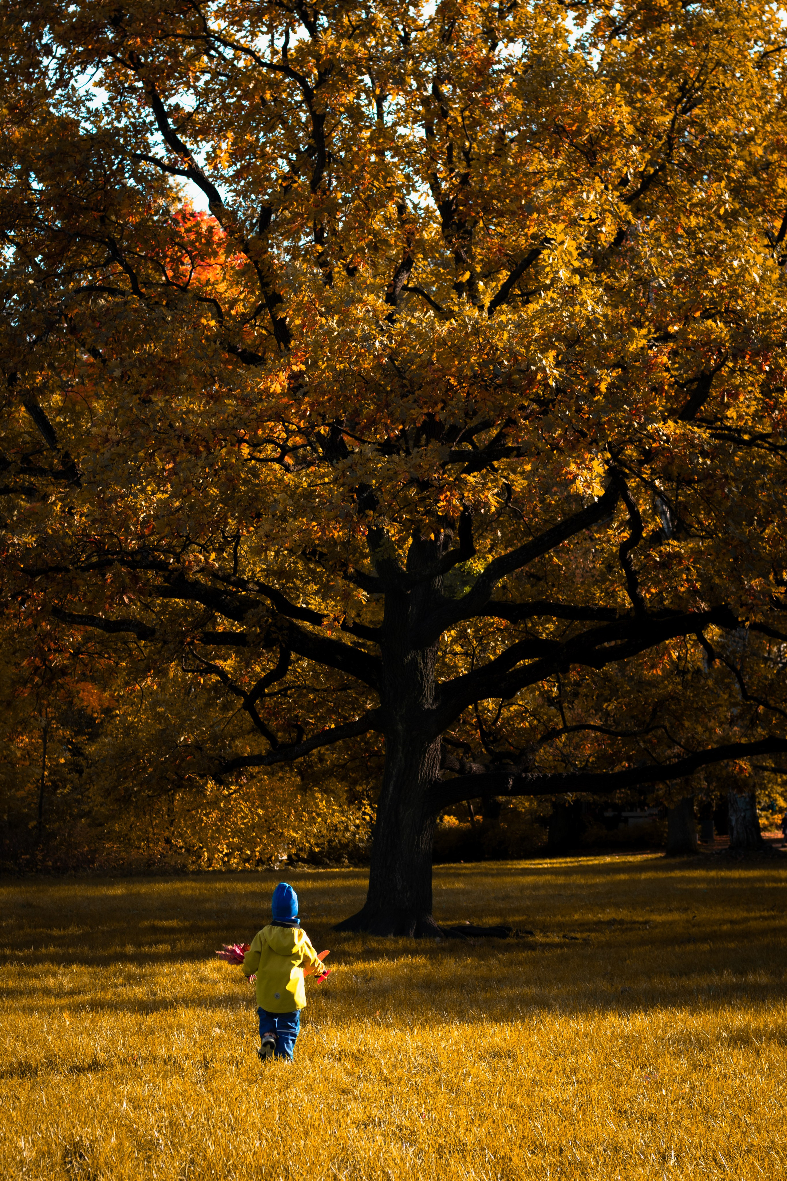 Прогулочная фотосессия. Фотограф в Санкт-Петербурге Ринара Масальникова