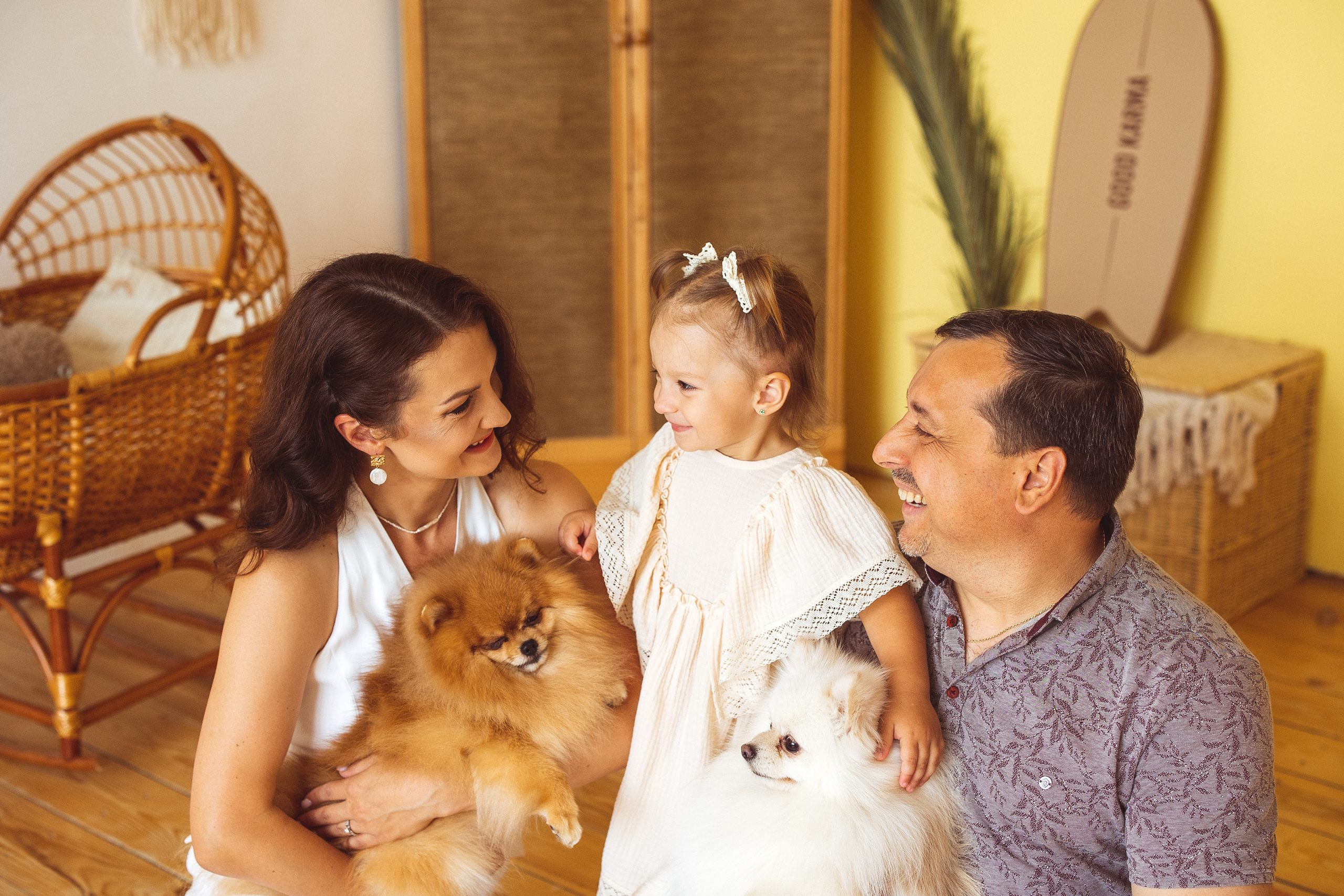 Собачки (шпицы). Семейный и детский фотограф в Краснодаре Анна Трашкова
