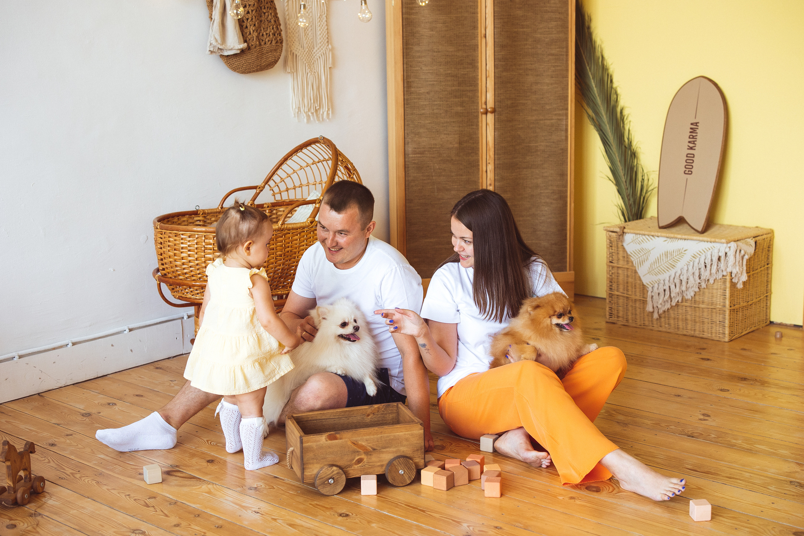 Собачки (шпицы). Семейный и детский фотограф в Краснодаре Анна Трашкова