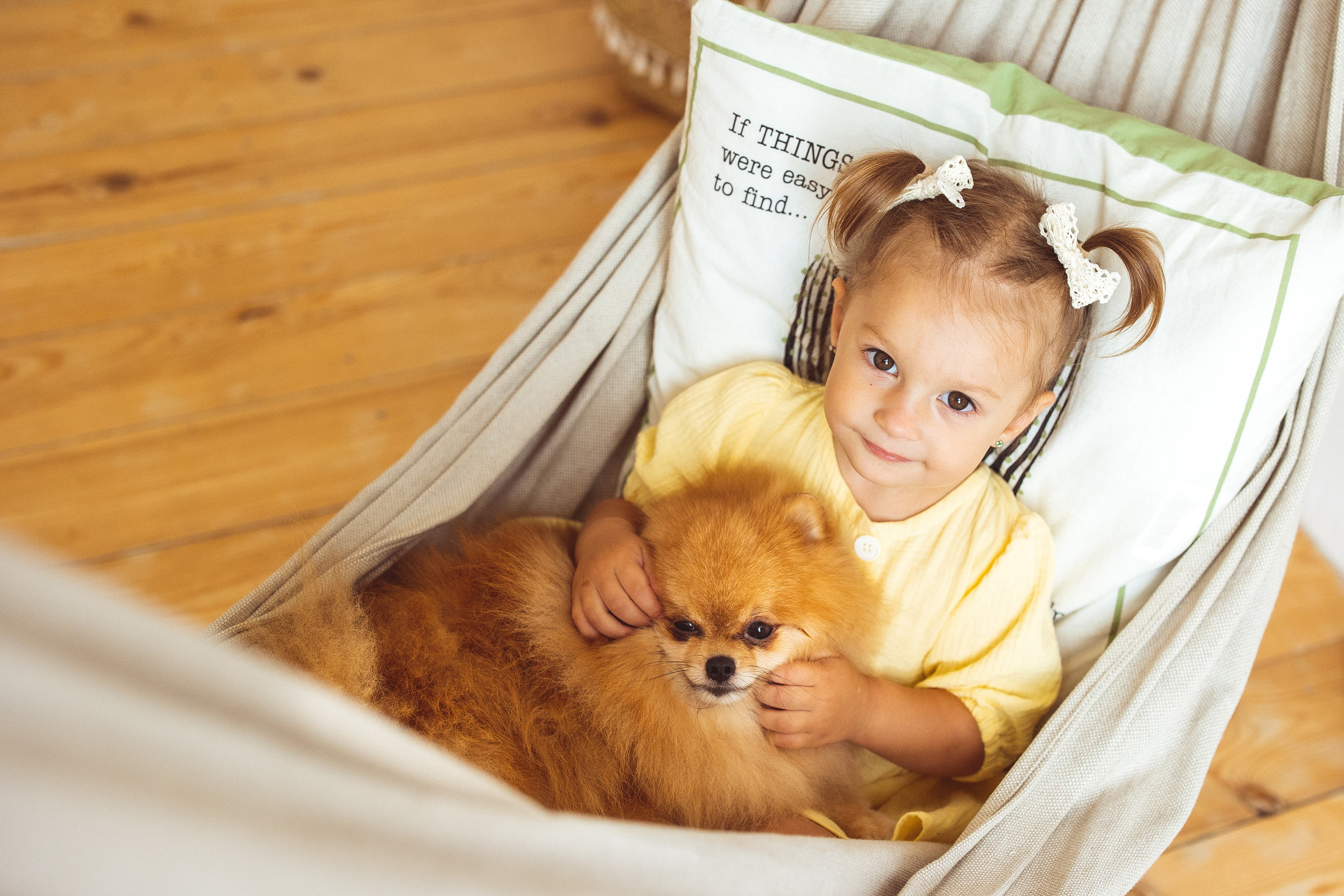 Собачки (шпицы). Семейный и детский фотограф в Краснодаре Анна Трашкова