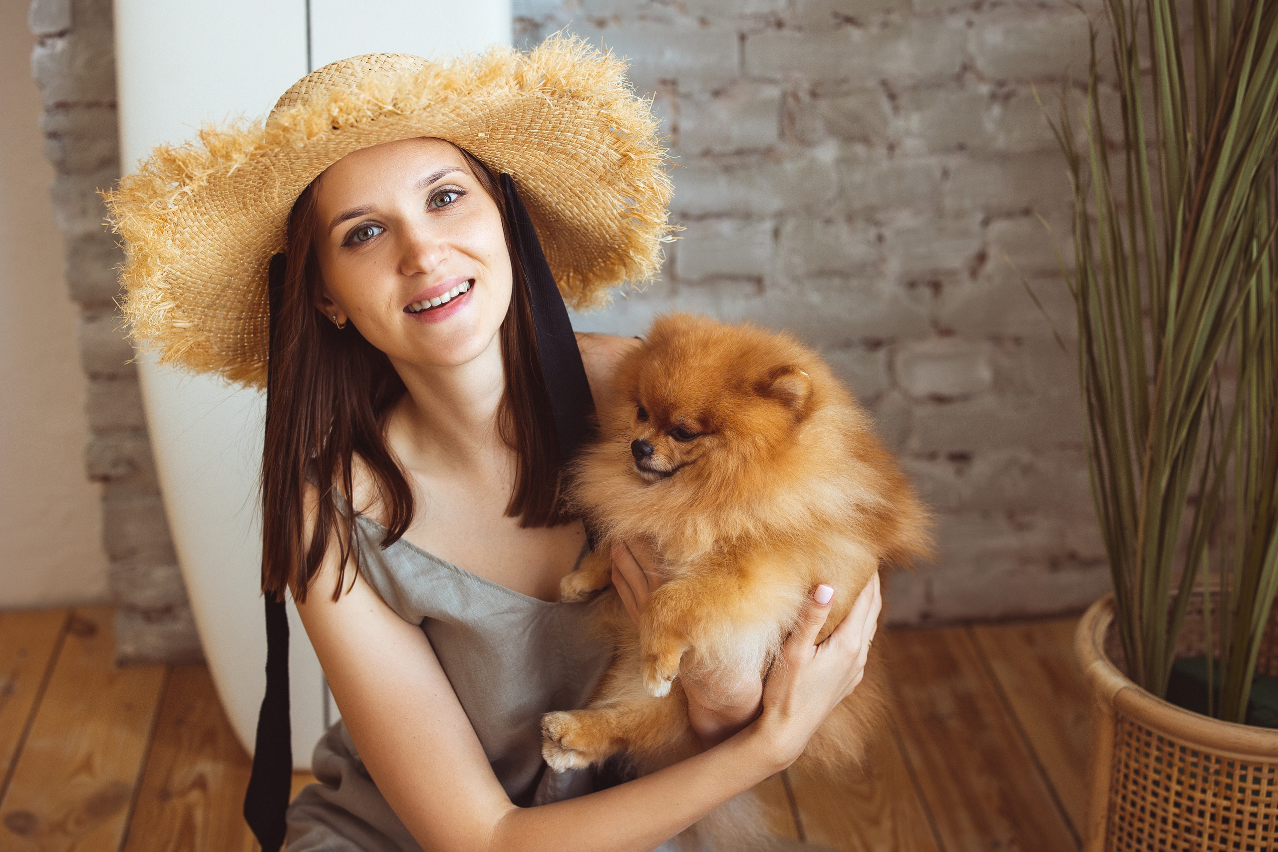 Собачки (шпицы). Семейный и детский фотограф в Краснодаре Анна Трашкова