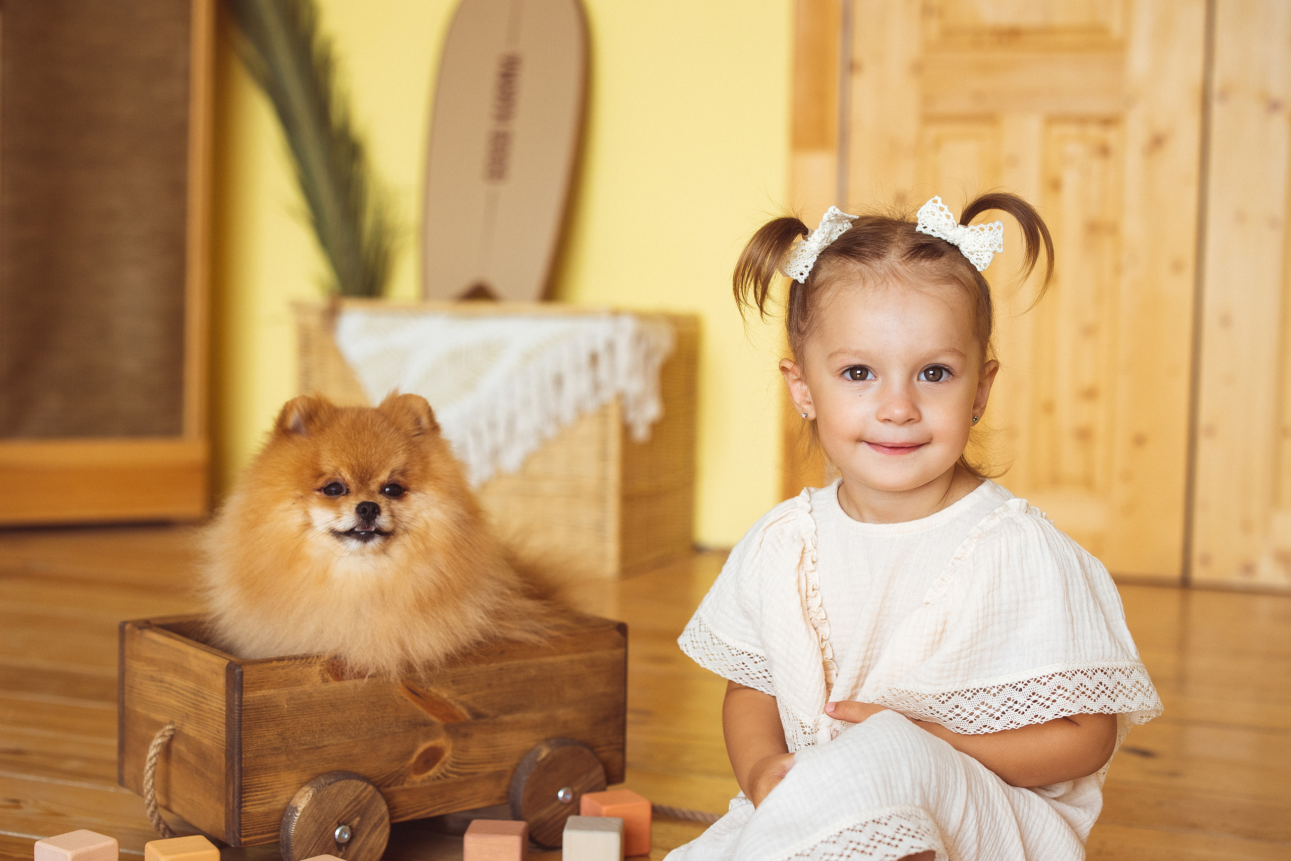 Собачки (шпицы). Семейный и детский фотограф в Краснодаре Анна Трашкова