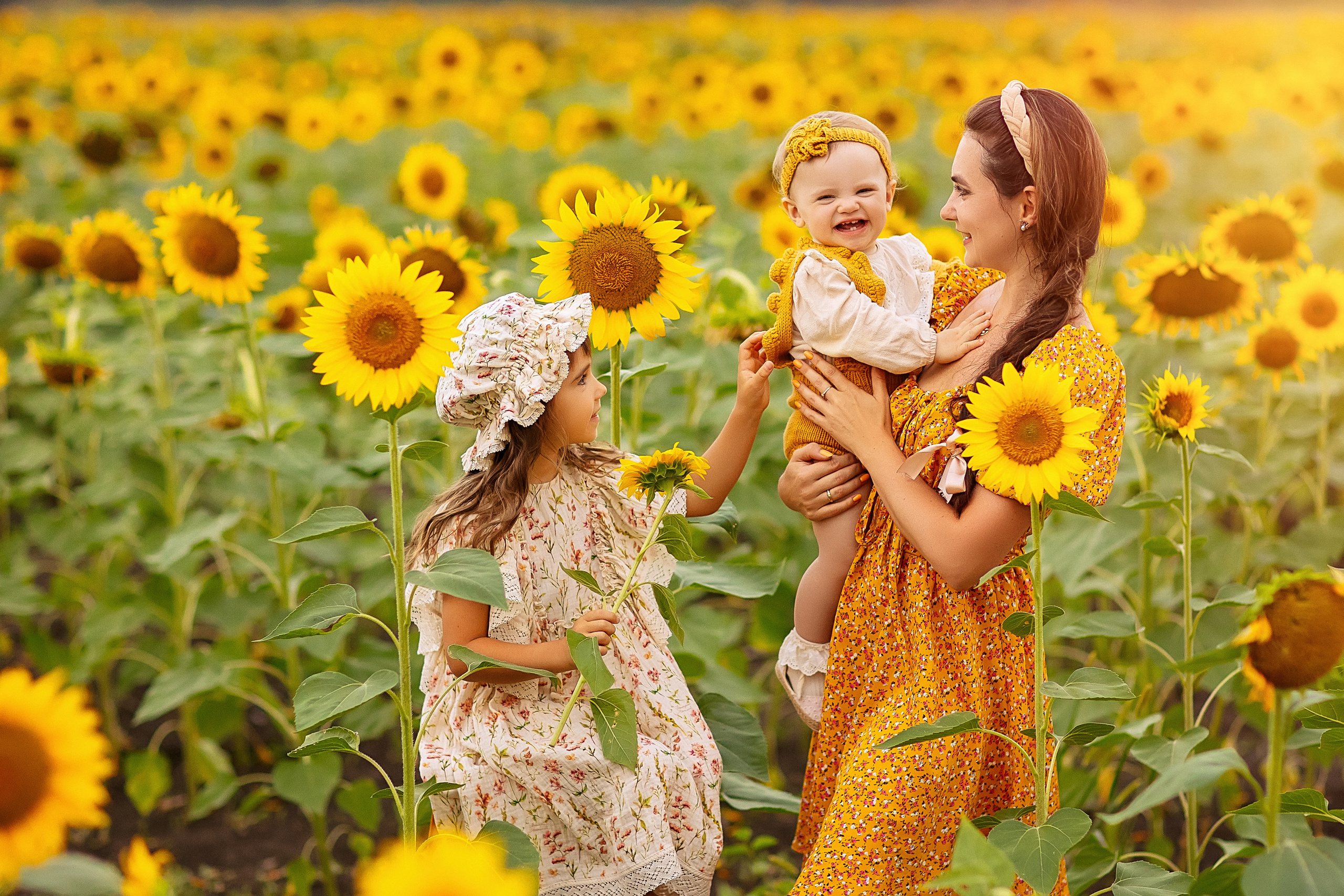 Фотосессия в подсолнухах в Краснодаре. Семейный и детский фотограф в Краснодаре Анна Трашкова