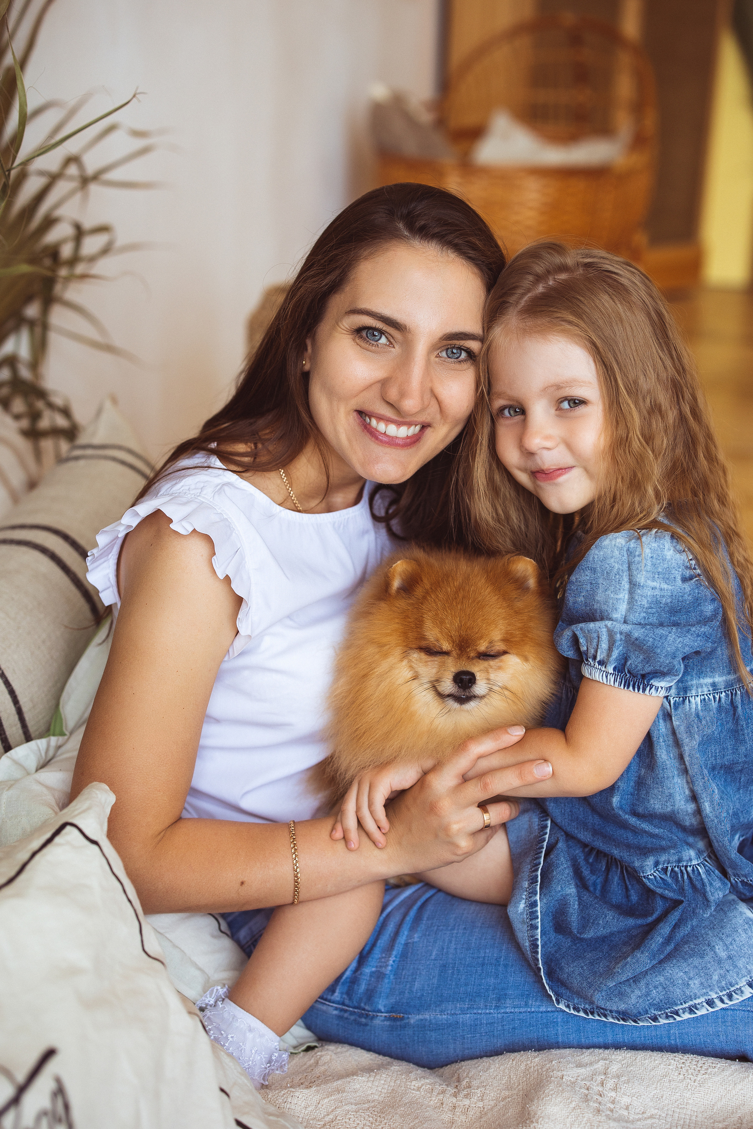 Собачки (шпицы). Семейный и детский фотограф в Краснодаре Анна Трашкова