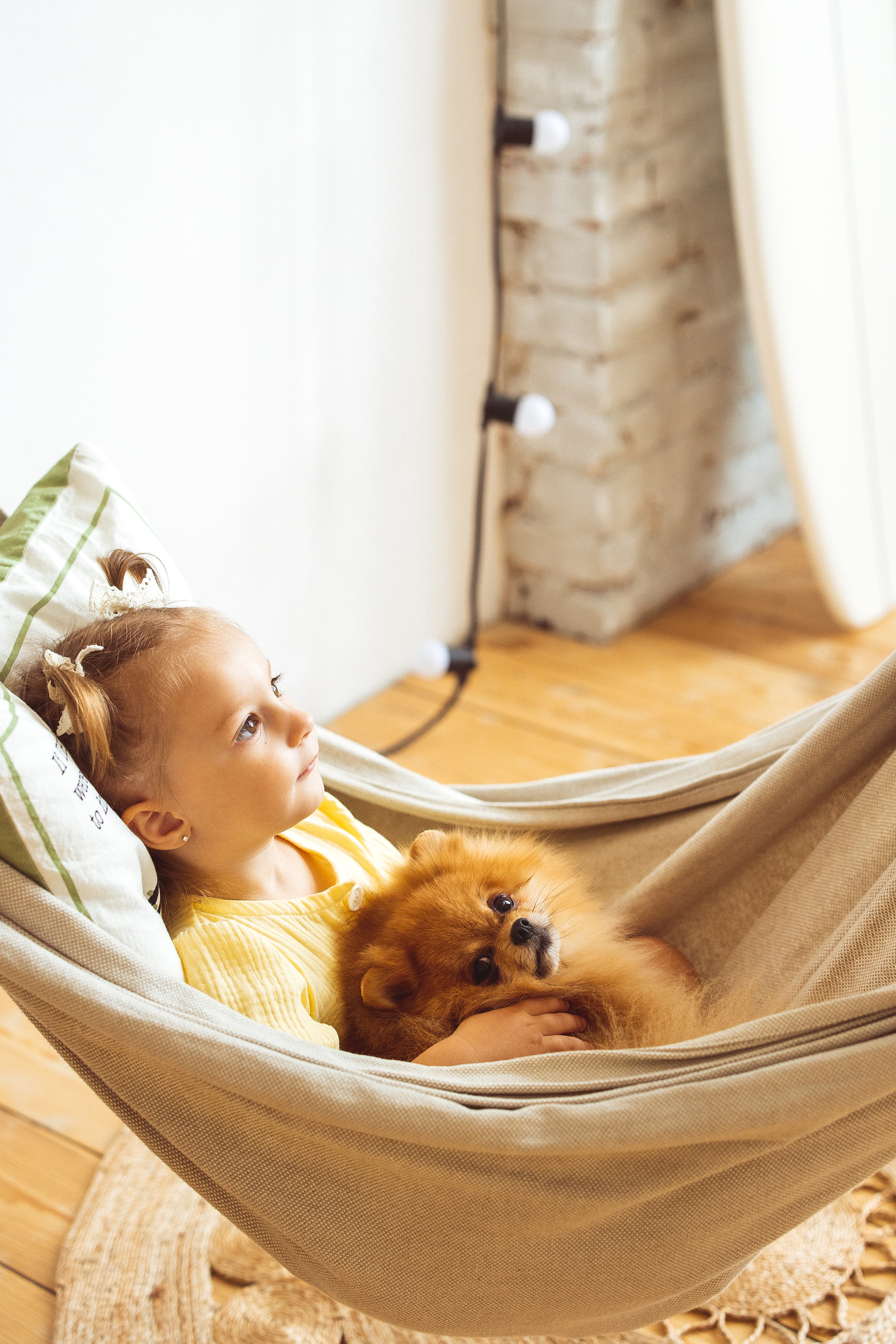 Собачки (шпицы). Семейный и детский фотограф в Краснодаре Анна Трашкова