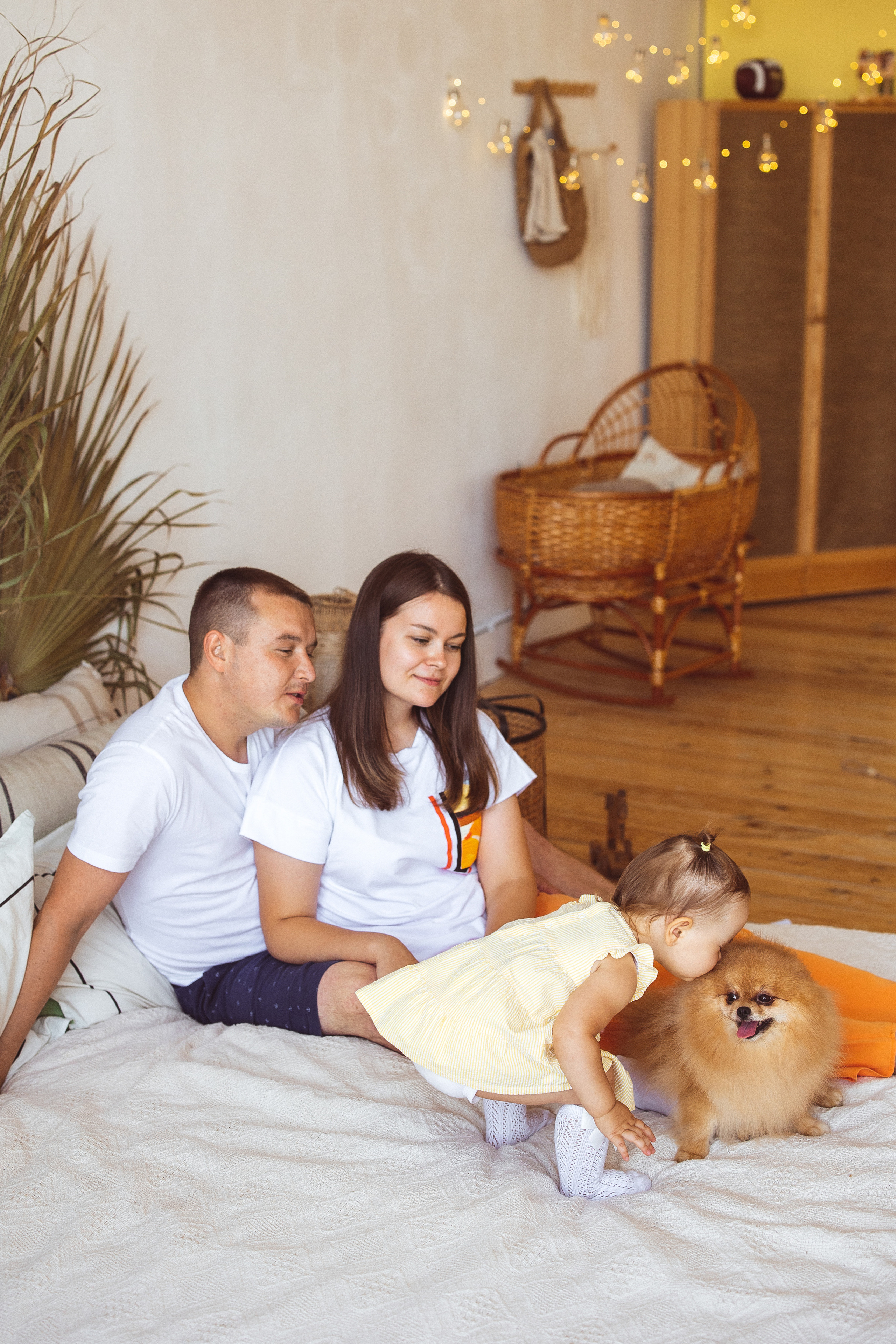 Собачки (шпицы). Семейный и детский фотограф в Краснодаре Анна Трашкова