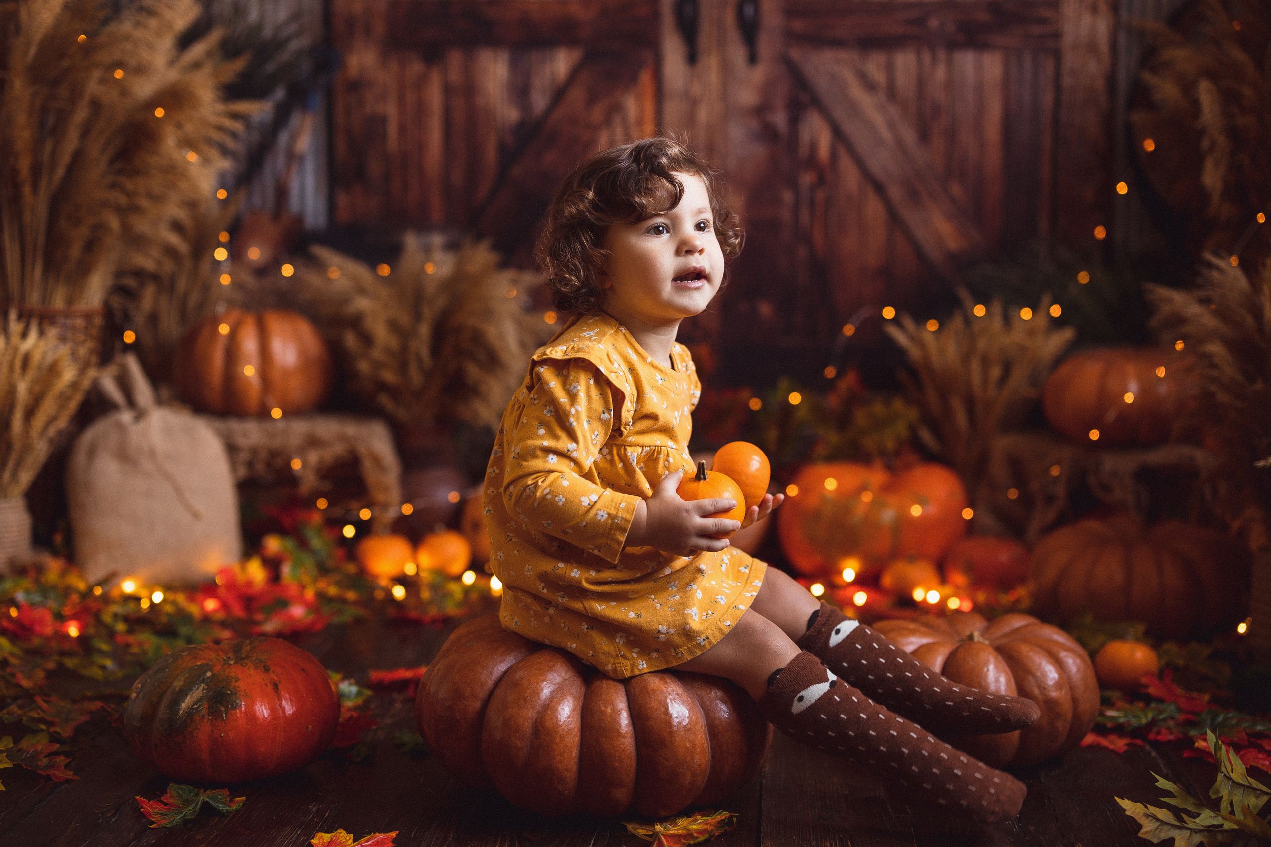 Осень. Семейный и детский фотограф в Краснодаре Анна Трашкова