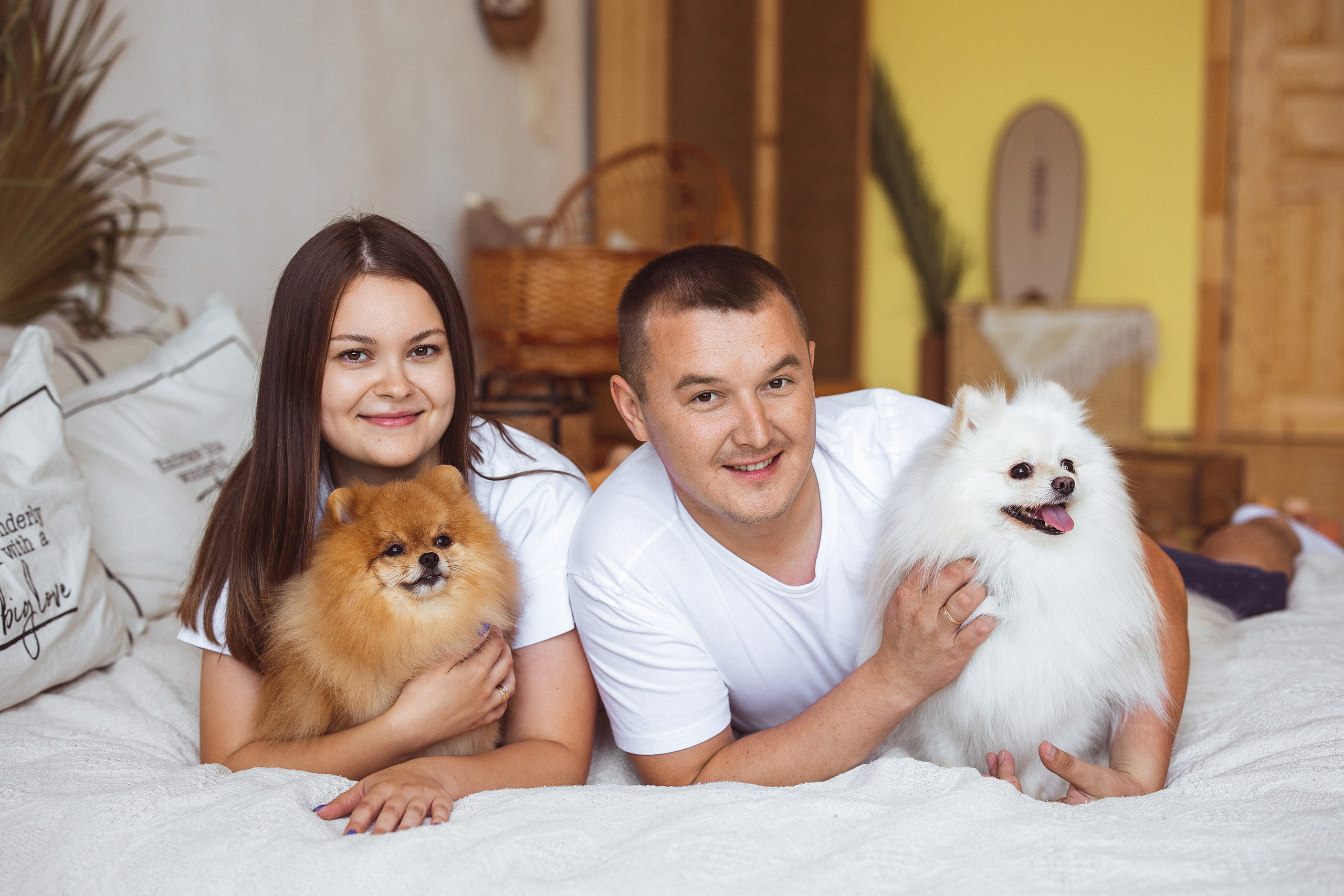 Собачки (шпицы). Семейный и детский фотограф в Краснодаре Анна Трашкова