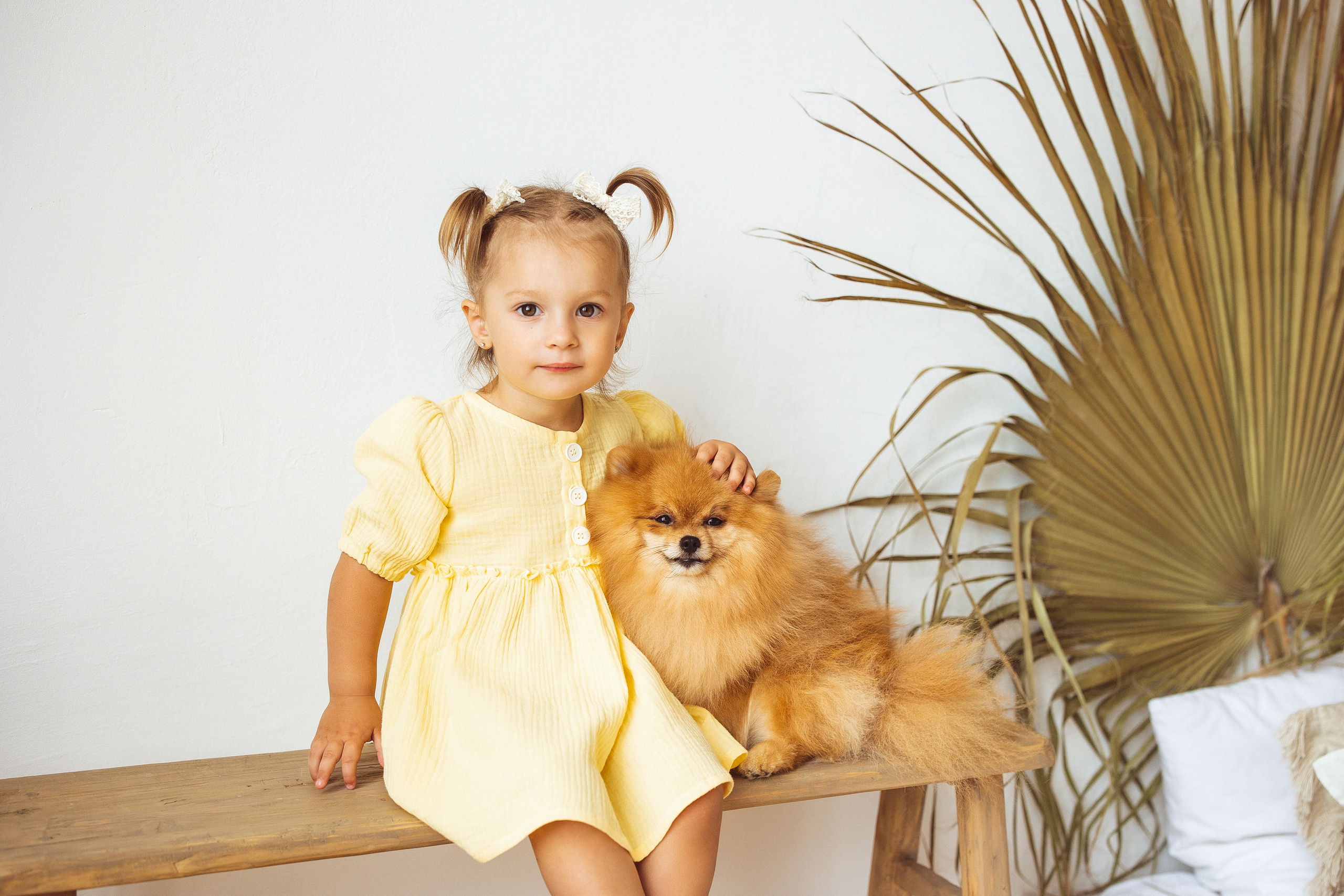 Собачки (шпицы). Семейный и детский фотограф в Краснодаре Анна Трашкова