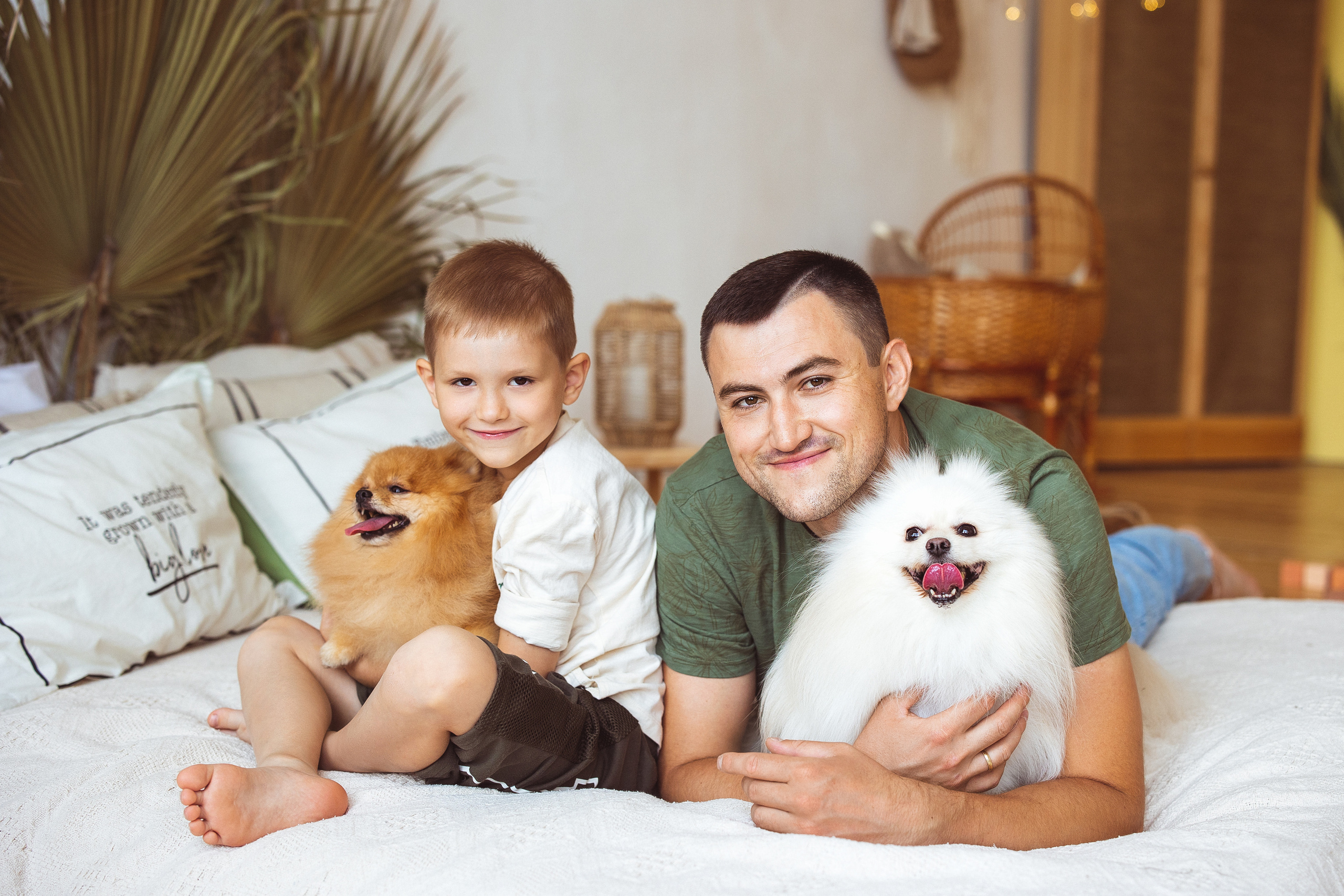 Собачки (шпицы). Семейный и детский фотограф в Краснодаре Анна Трашкова