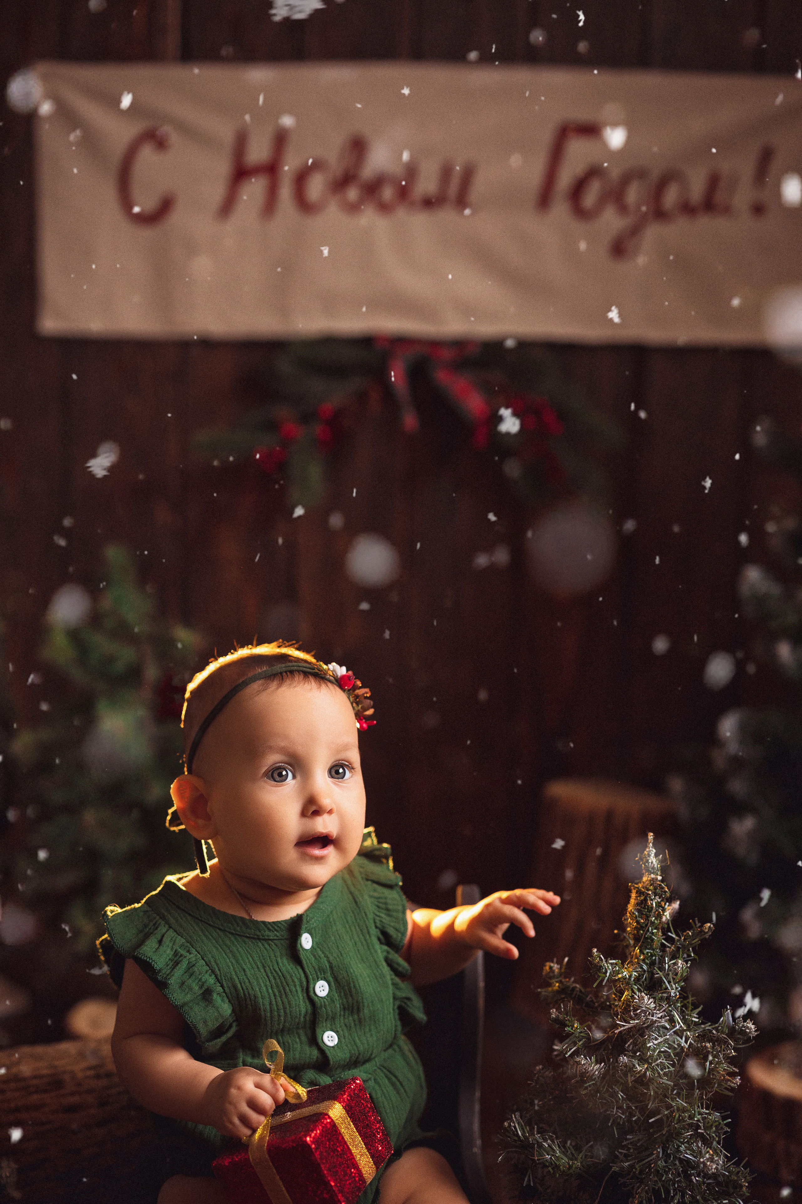 Новогодняя открытка. Семейный и детский фотограф в Краснодаре Анна Трашкова