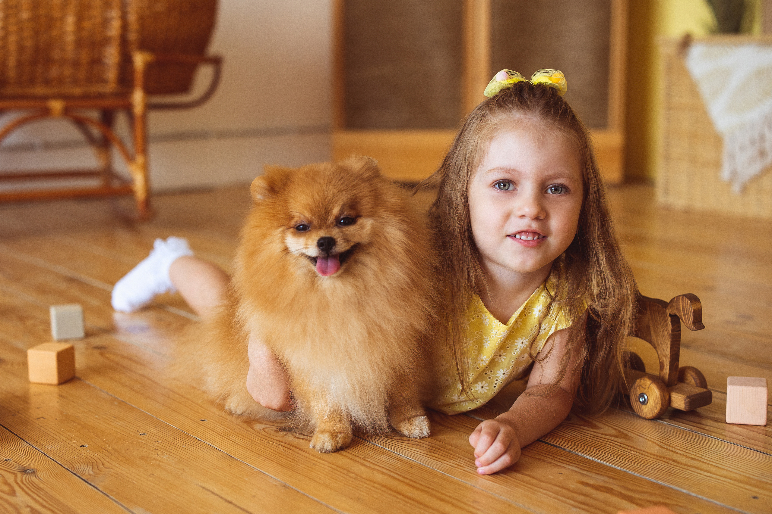 Собачки (шпицы). Семейный и детский фотограф в Краснодаре Анна Трашкова