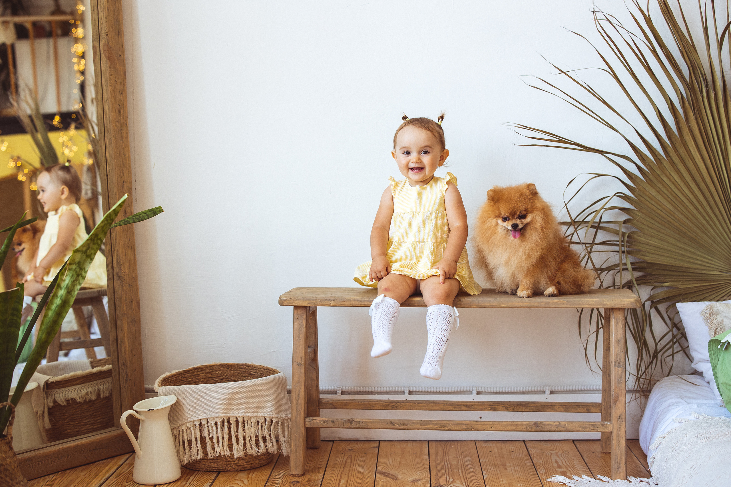 Собачки (шпицы). Семейный и детский фотограф в Краснодаре Анна Трашкова