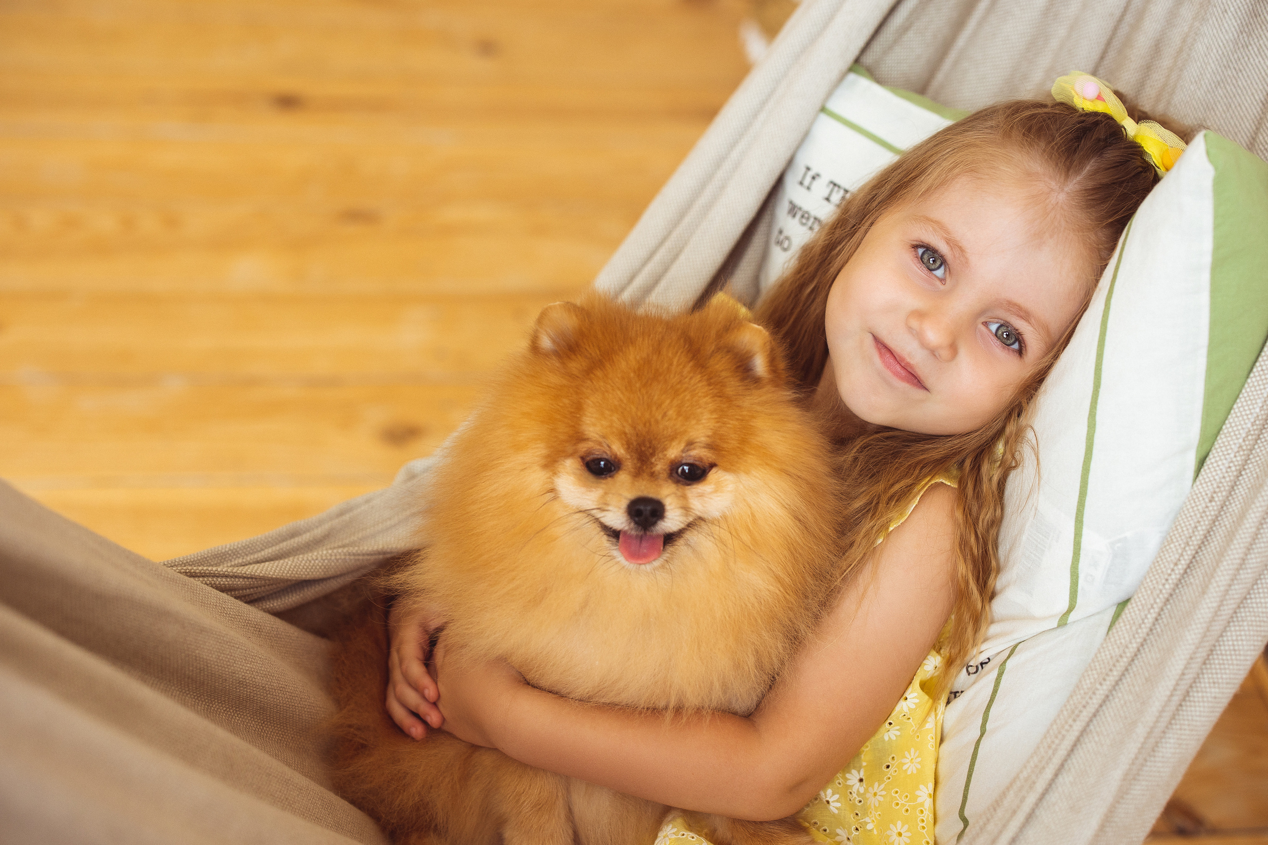 Собачки (шпицы). Семейный и детский фотограф в Краснодаре Анна Трашкова