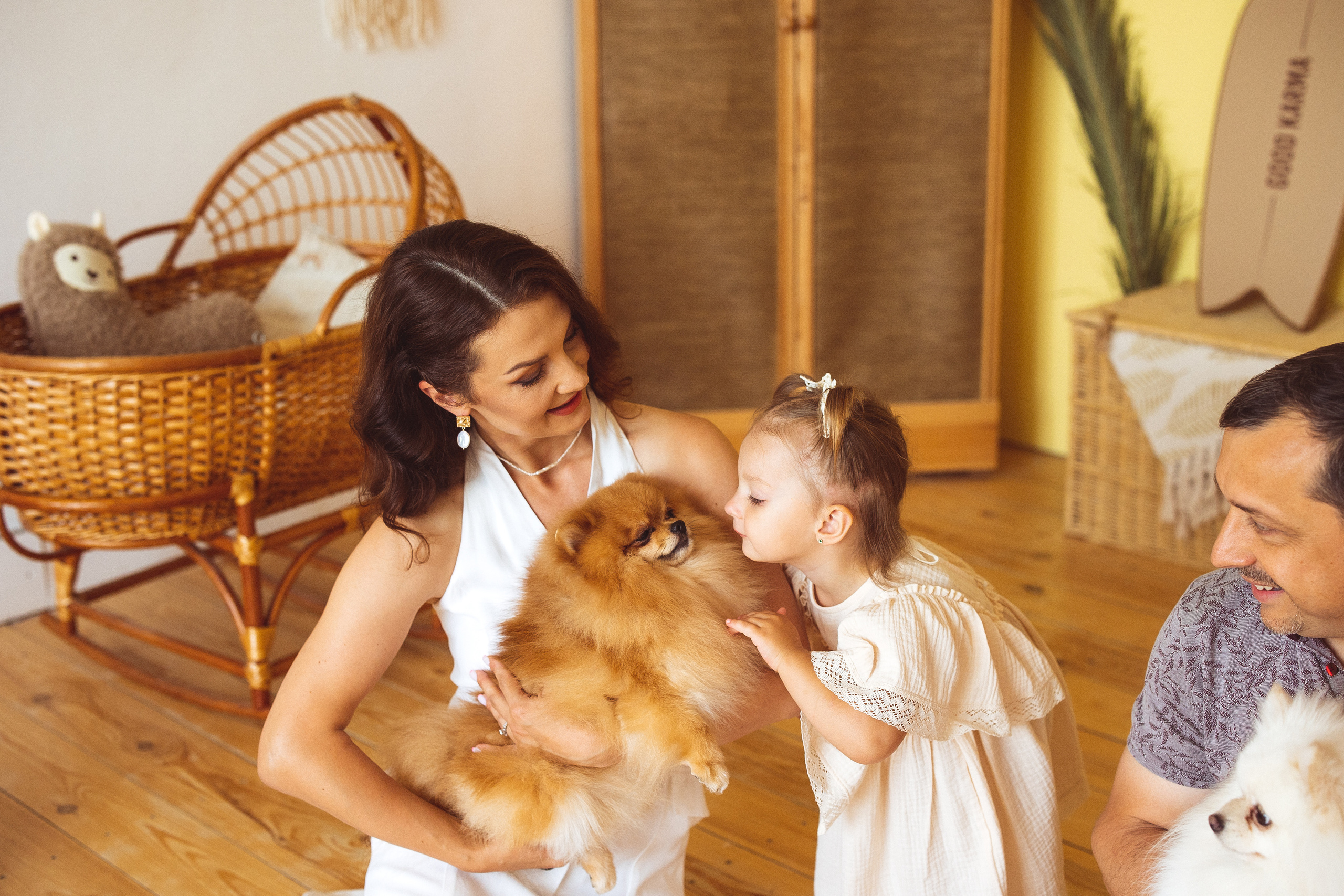 Собачки (шпицы). Семейный и детский фотограф в Краснодаре Анна Трашкова